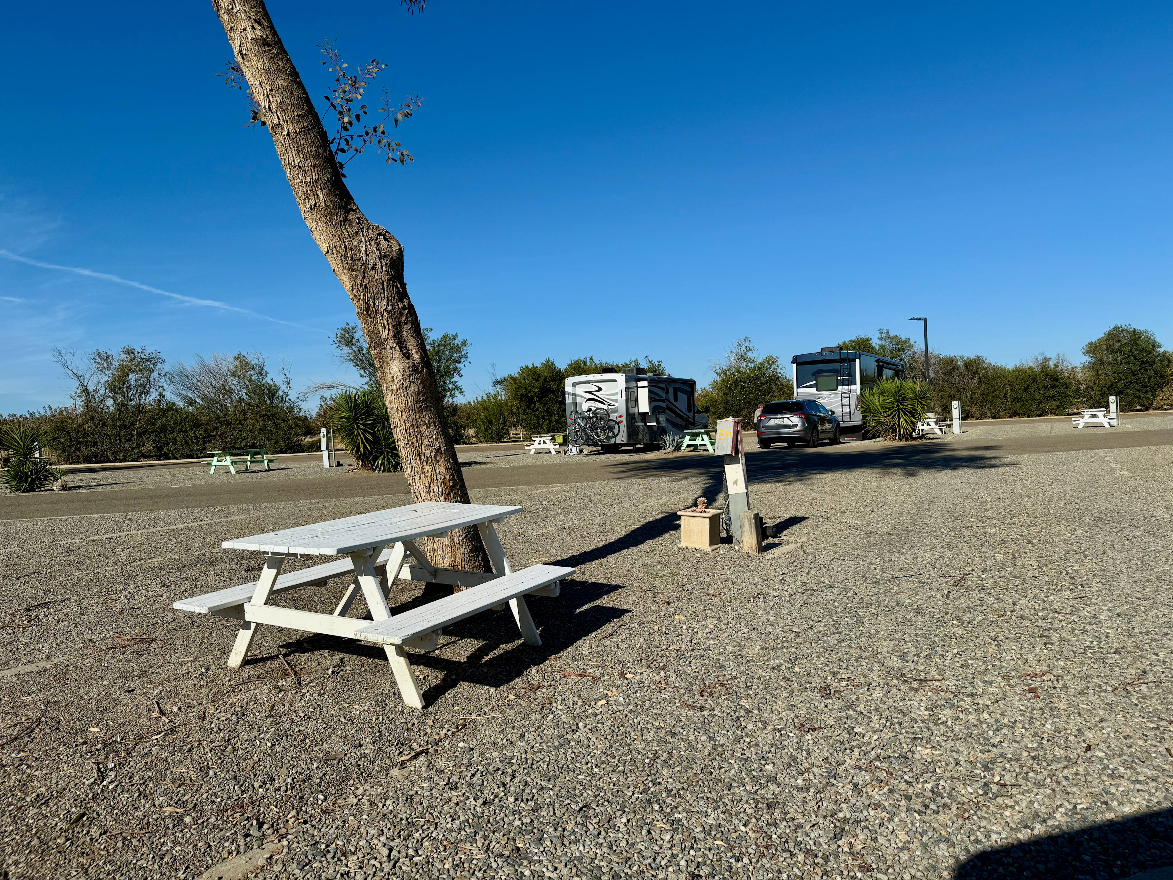 Almond Tree Oasis RV Park