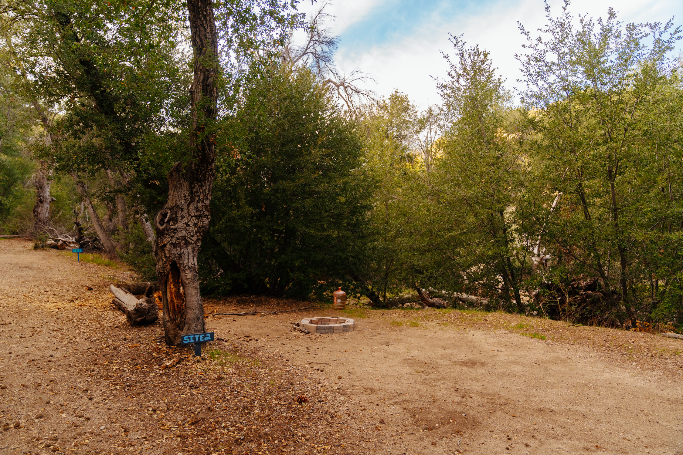 Loomerland Ranch and Retreat