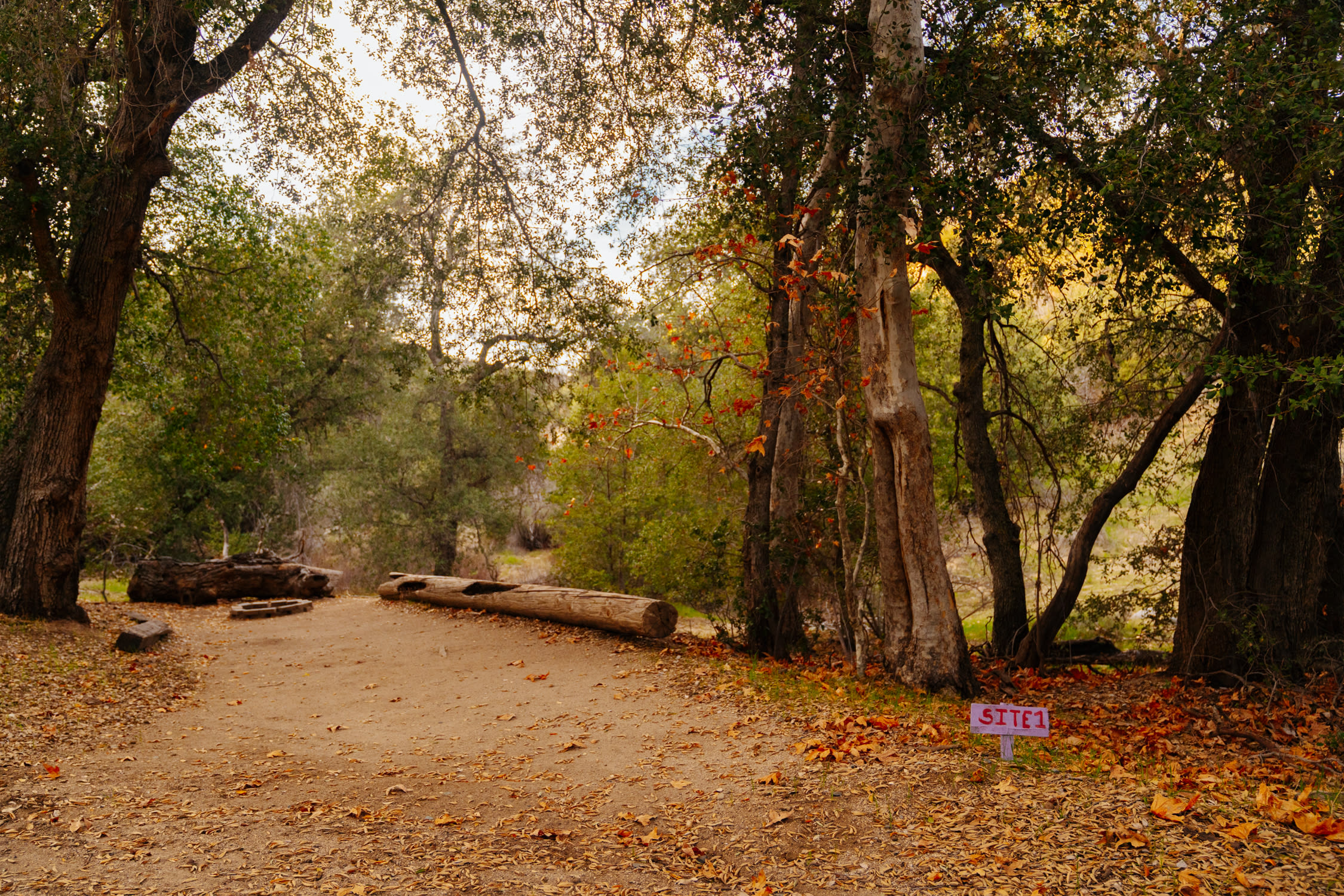 Loomerland Ranch and Retreat