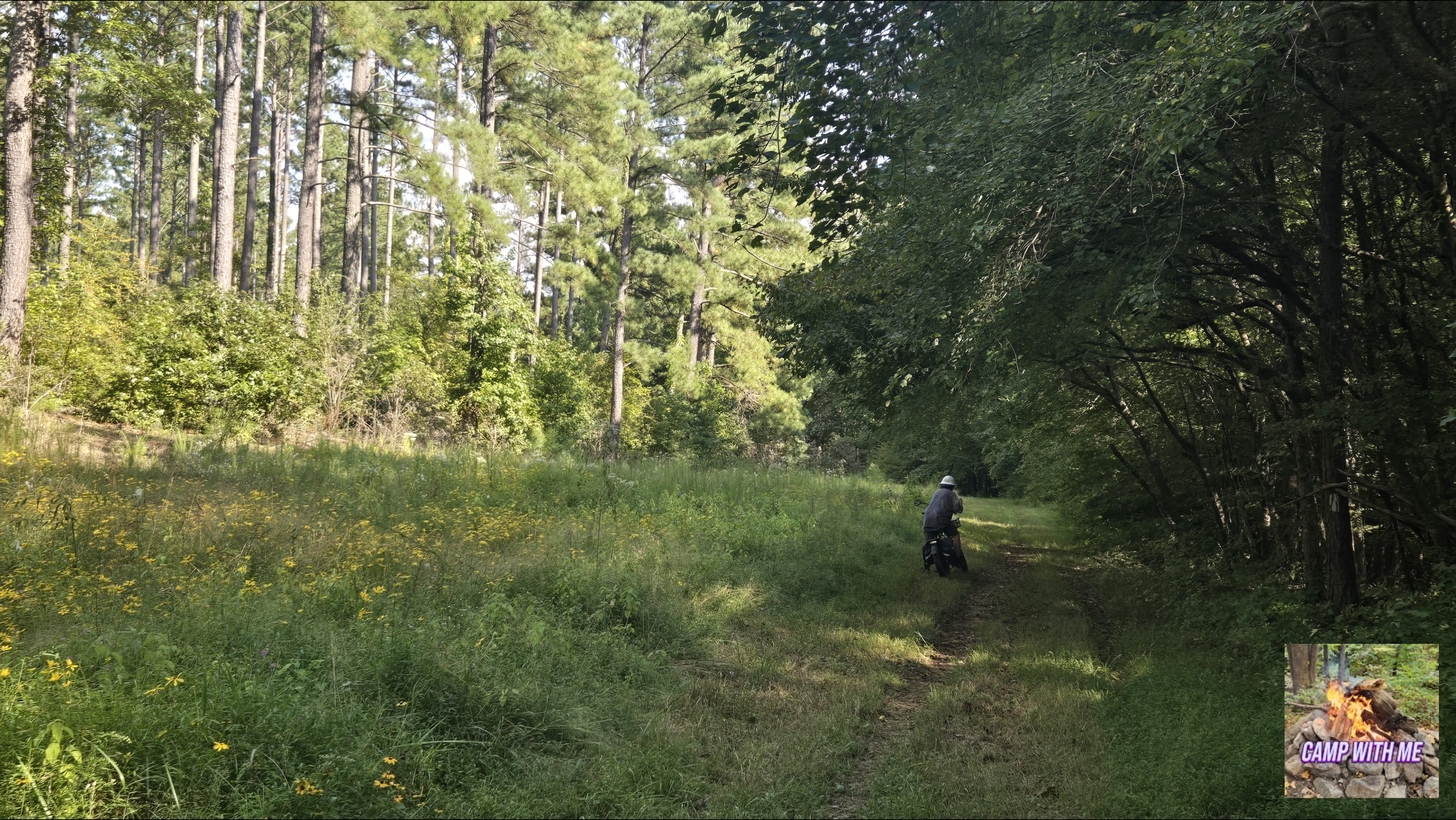 Staunton River State Park