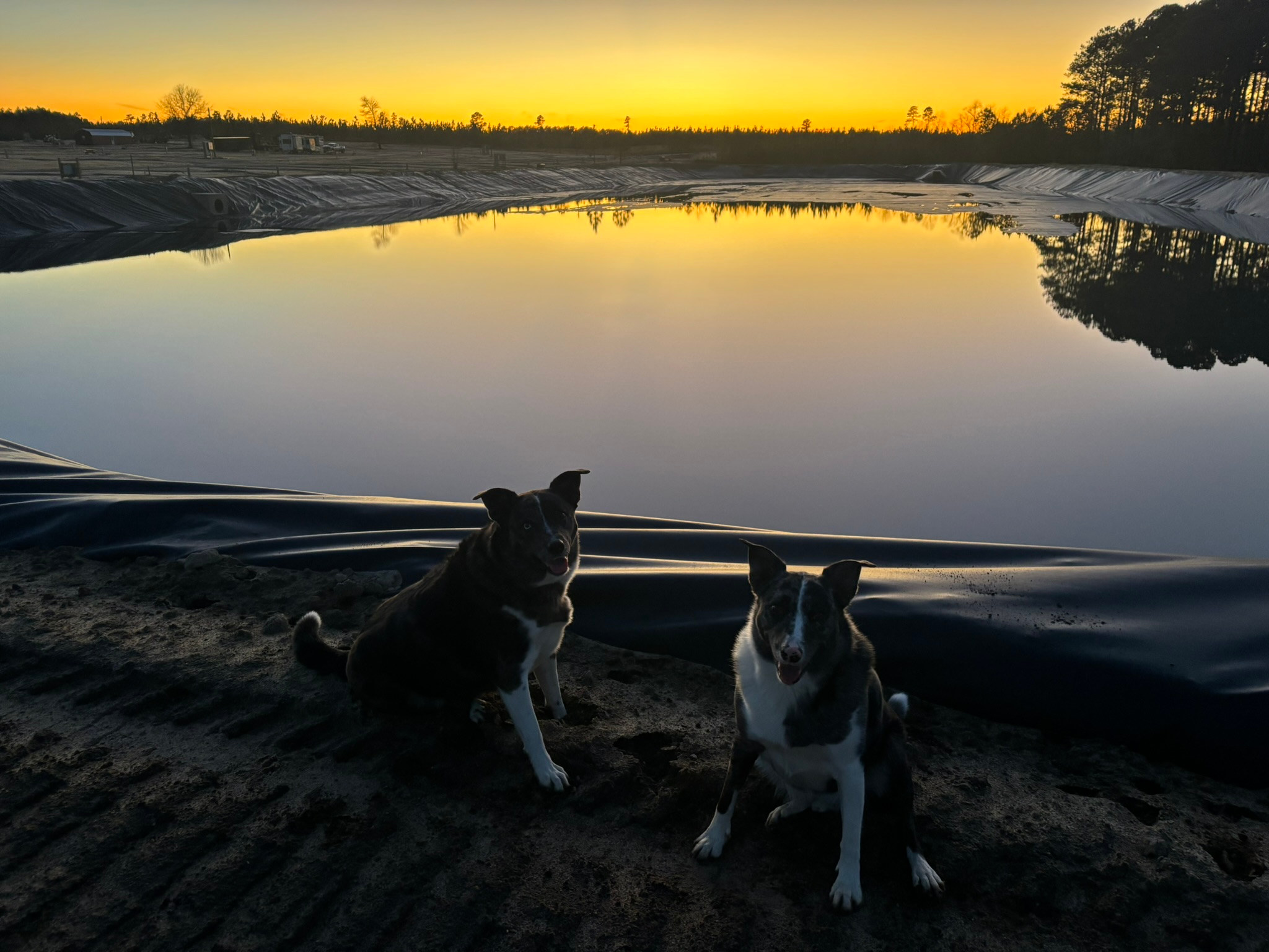 Standing Pines Campground