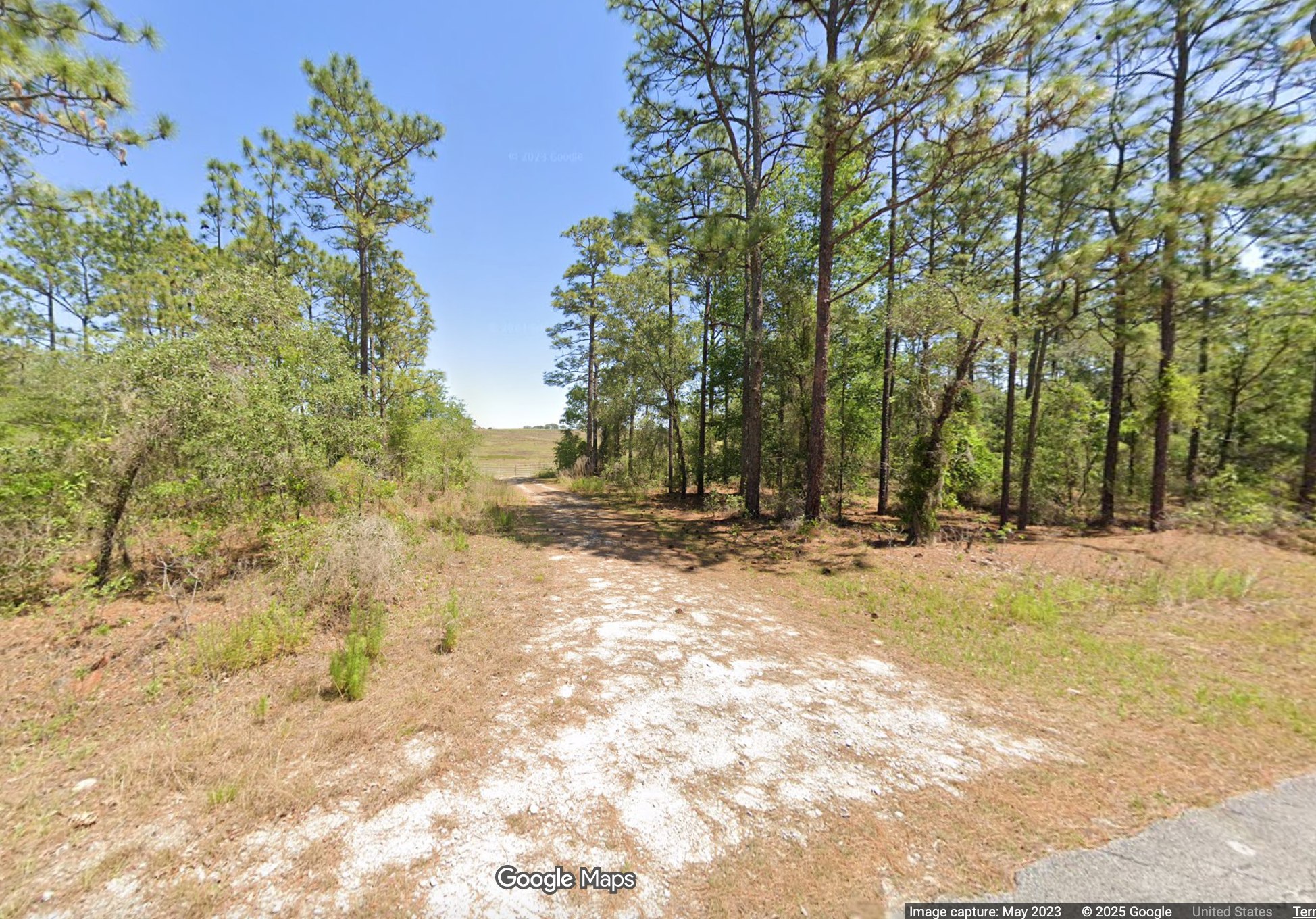 Nature Coast Springs Camp