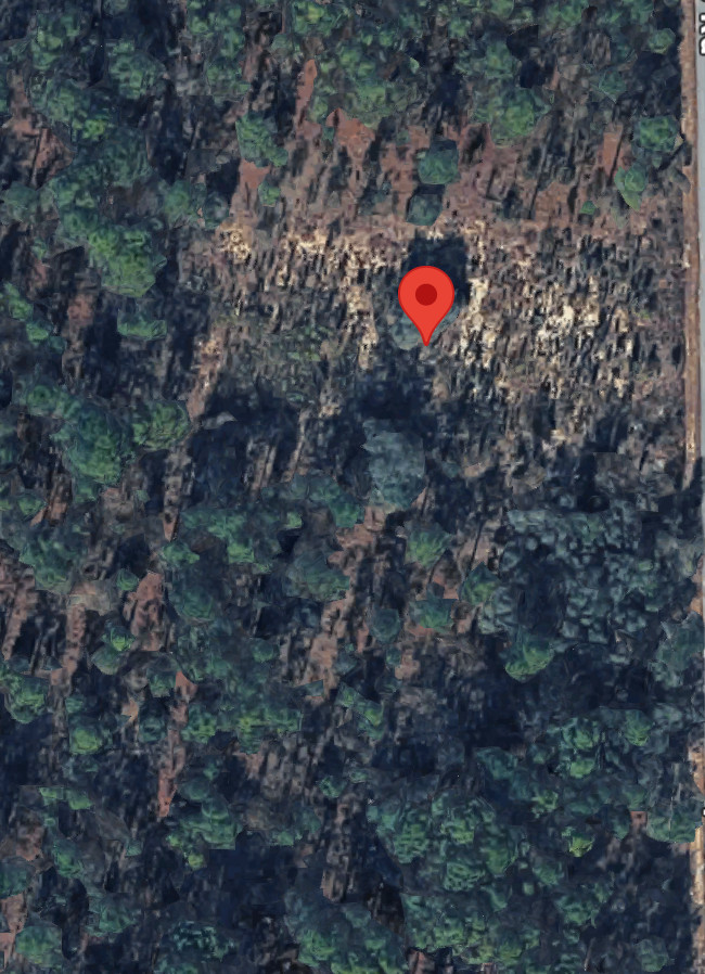 Nature Coast Springs Camp