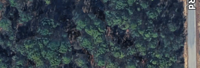 Nature Coast Springs Camp