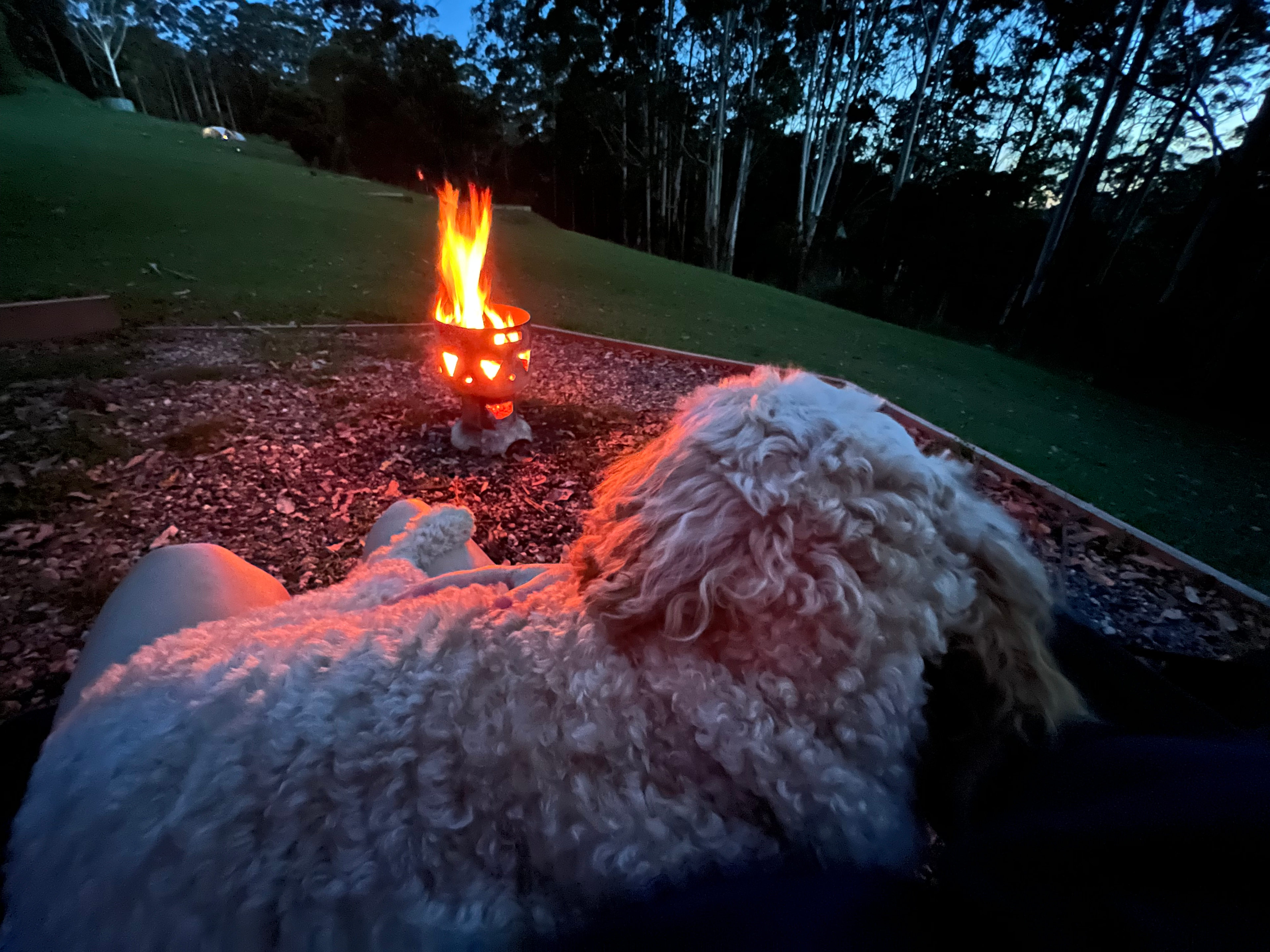 Fire pits are provided. 