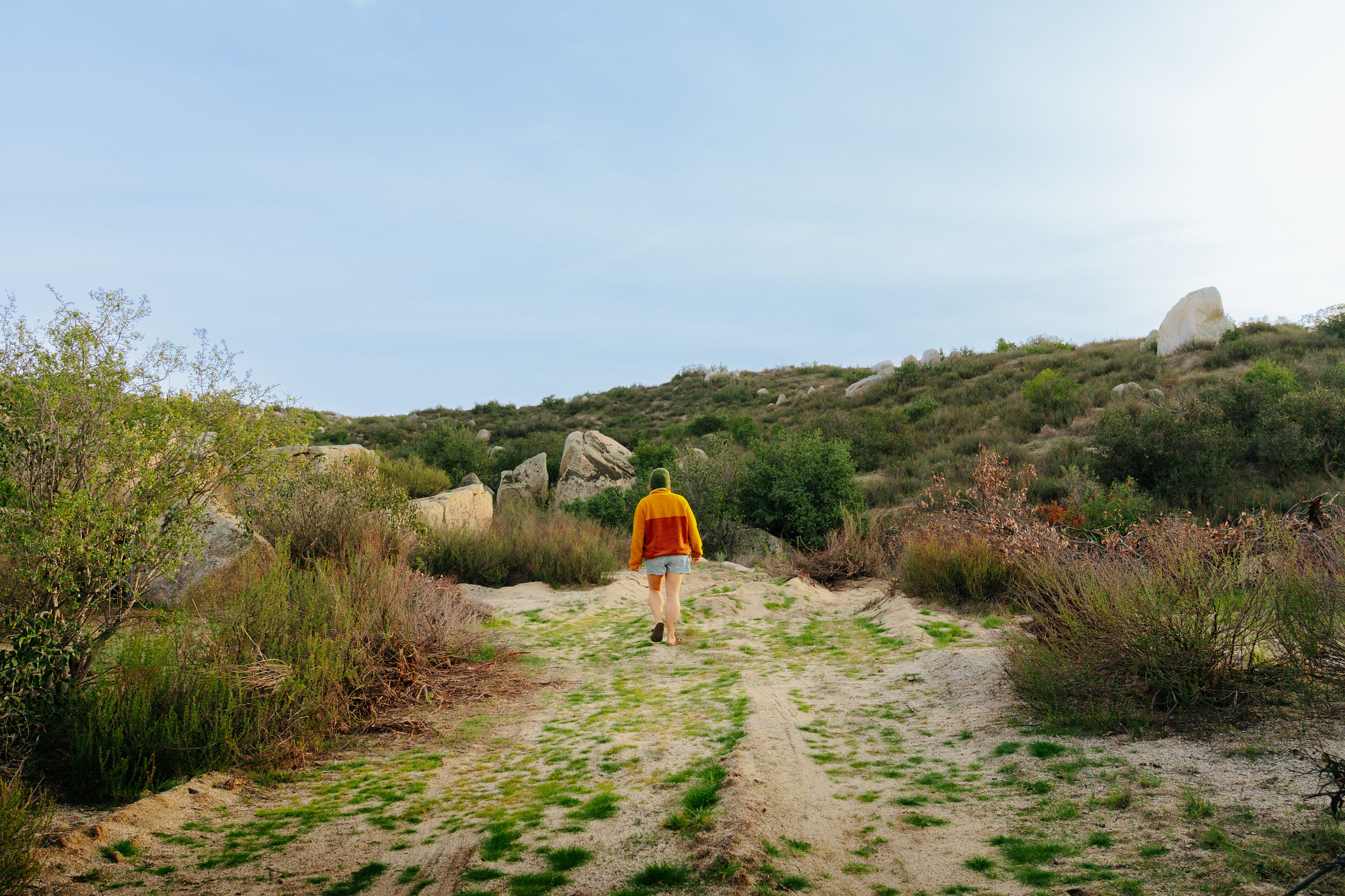 Back Acre Hills Farm