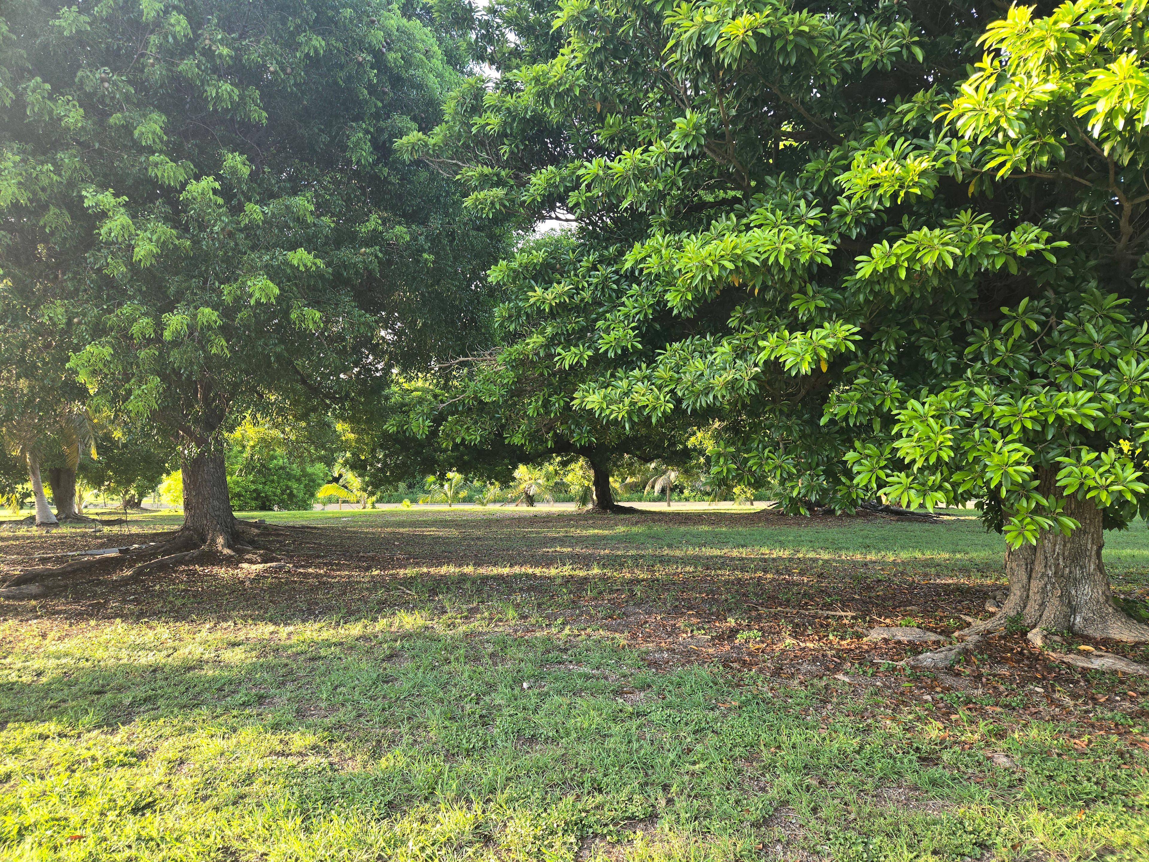 Aekon's Glamping Nest