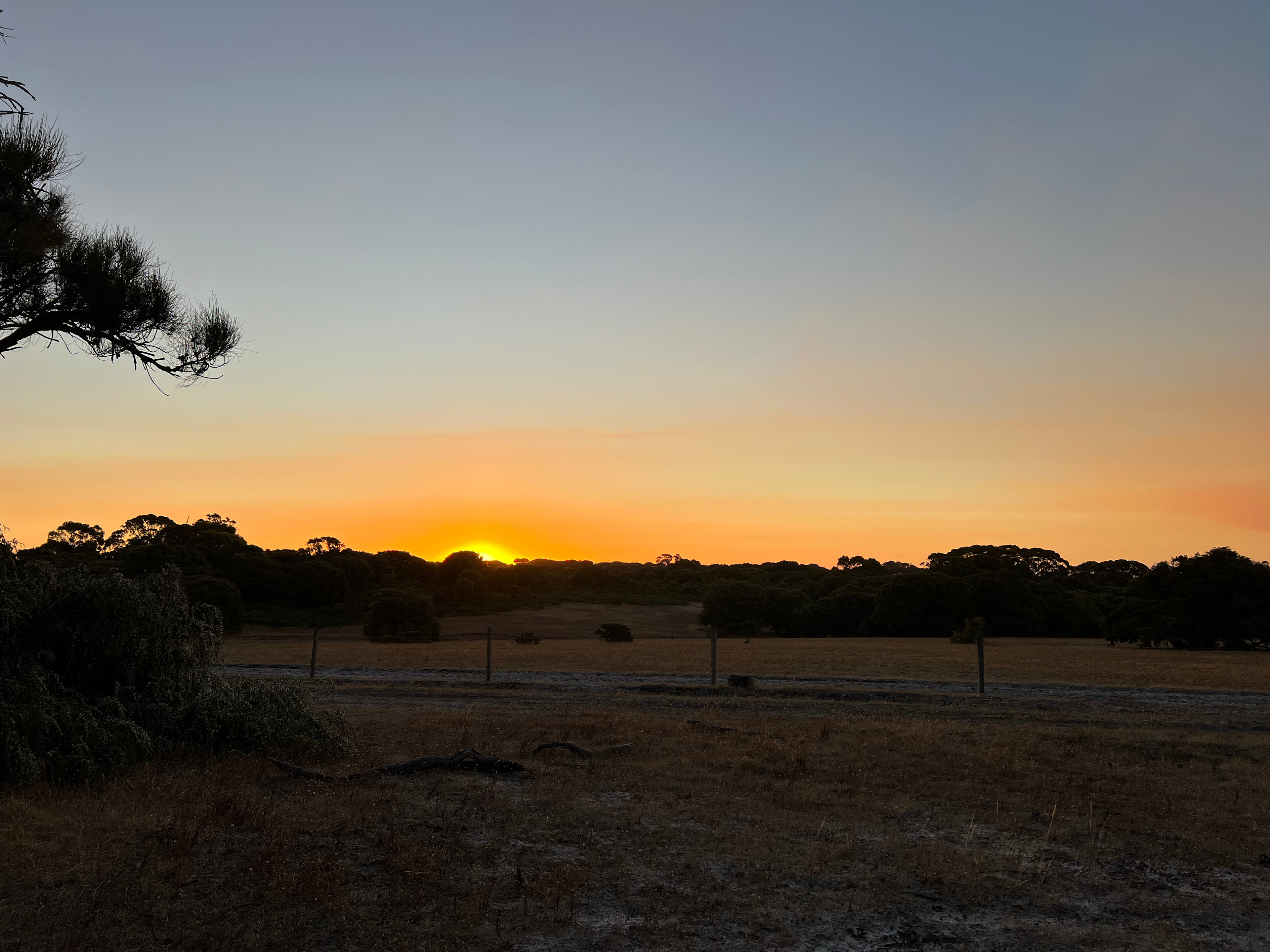 Wine & Waves Bush Escape- Wilyabrup