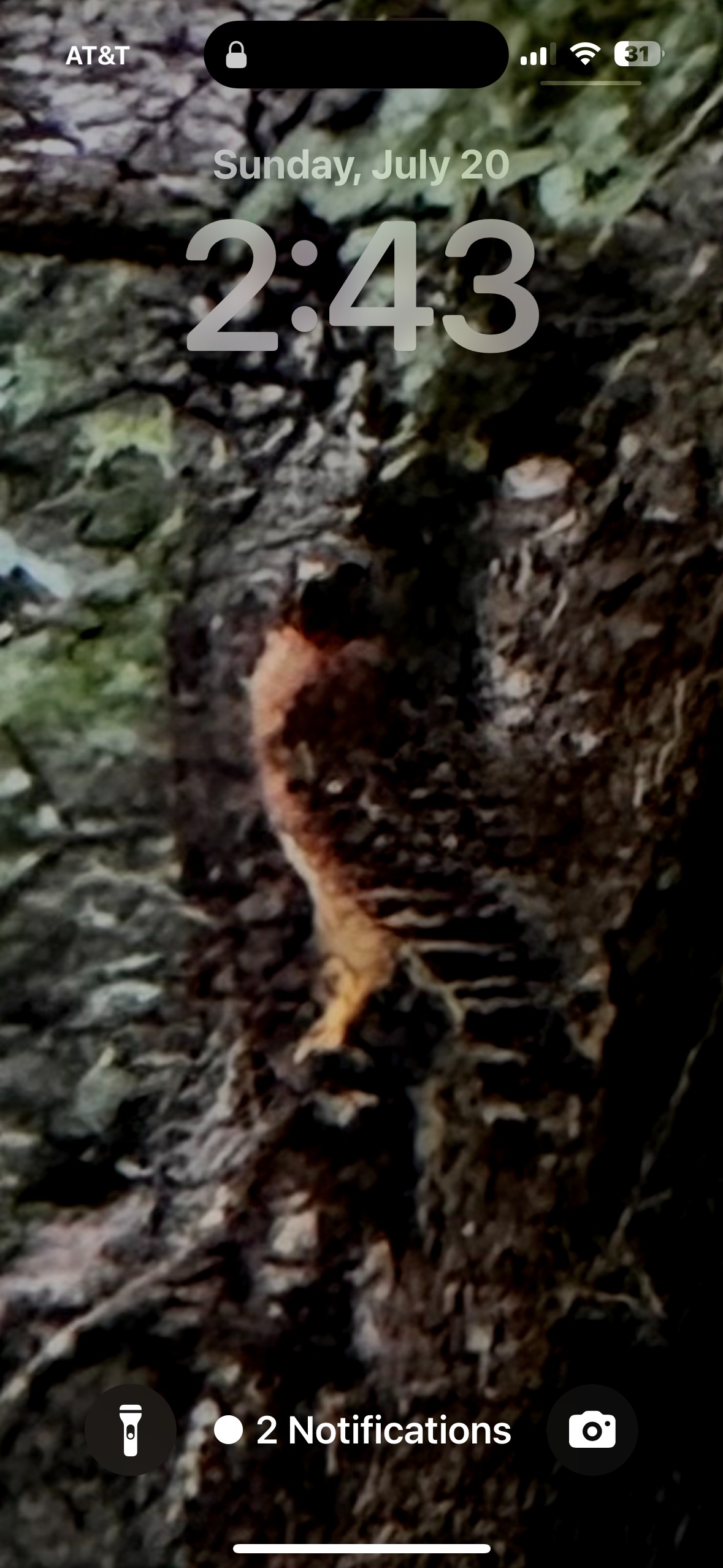 Bluff Springs Retreat