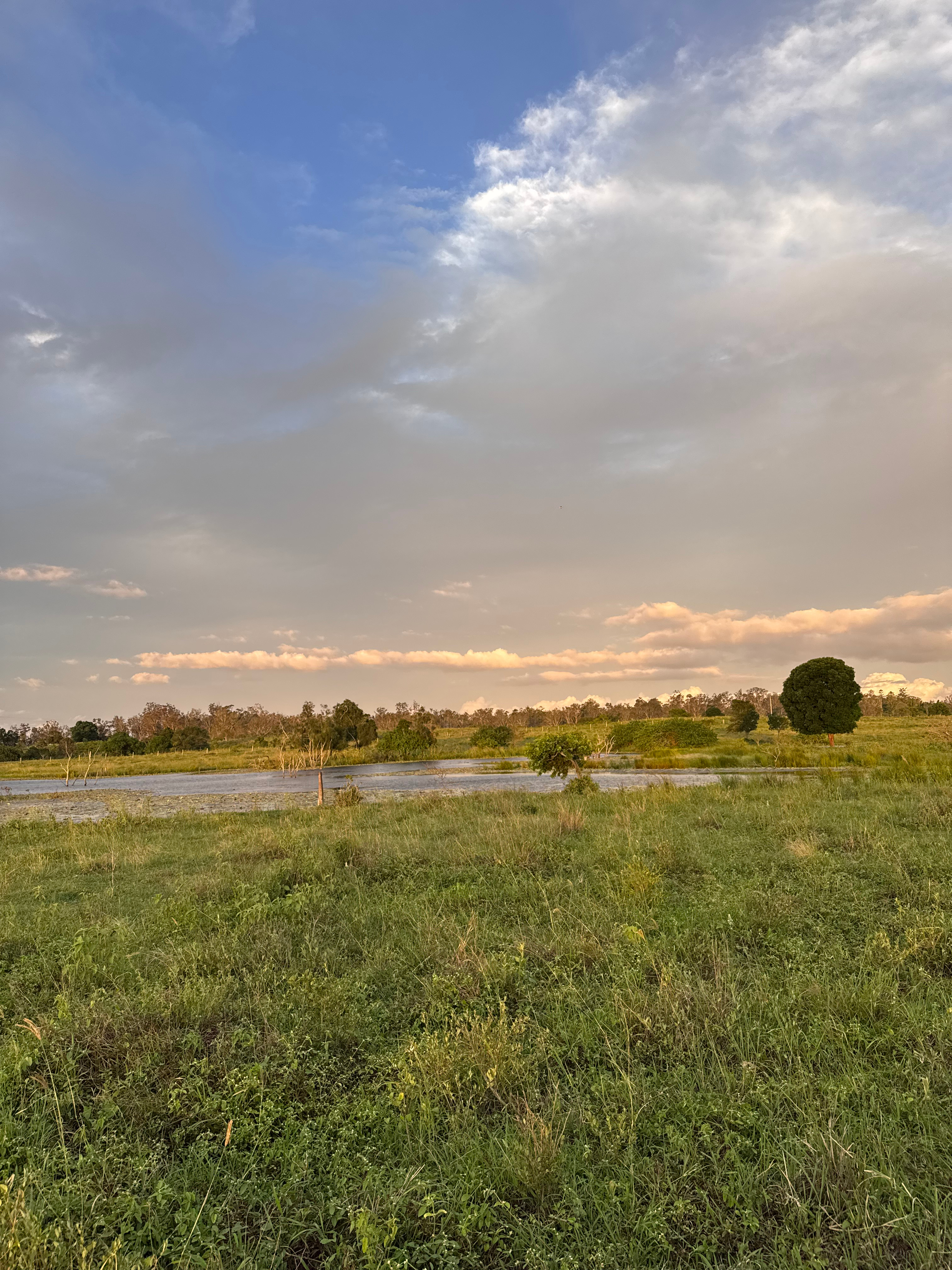 Burnett River Homestead