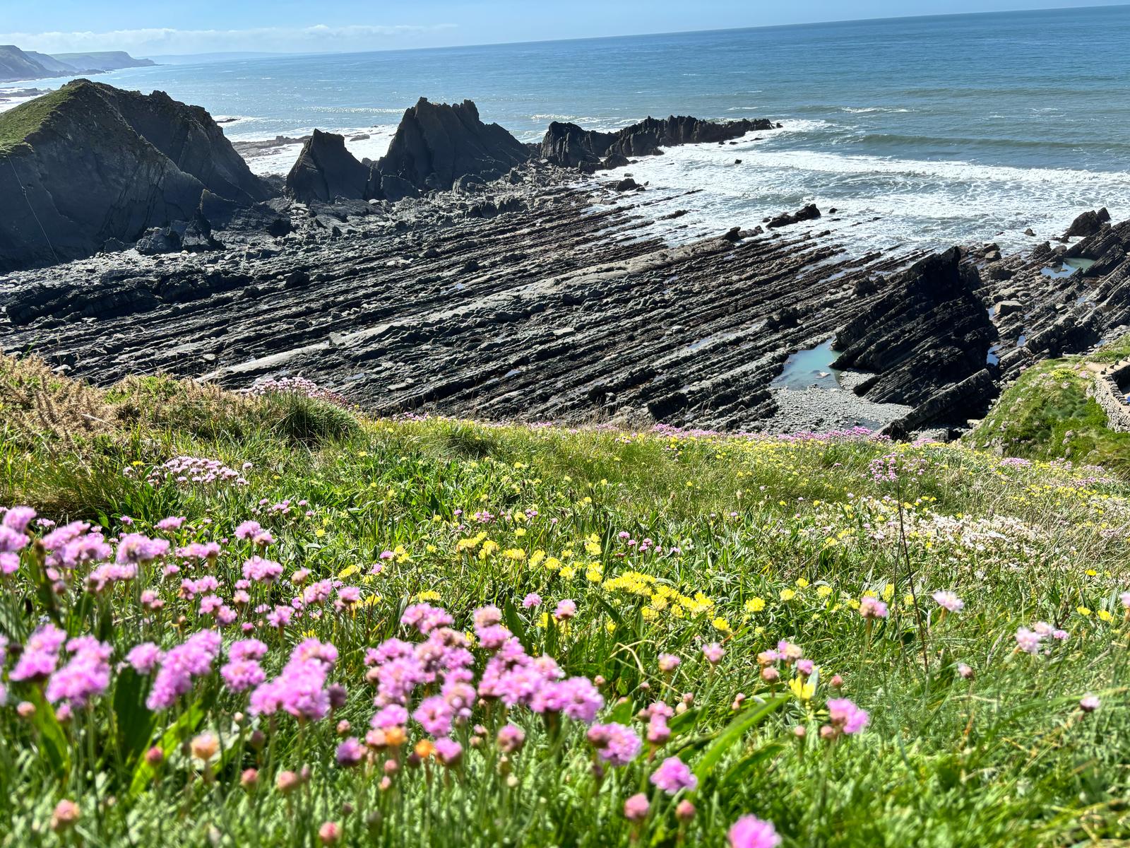  Nearby view from the coastal footpath near beautiful dramatic Hartland Quay