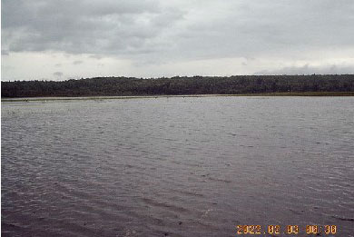 Long Pond Camps And Guide Service