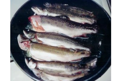 Long Pond Camps and Guide Service