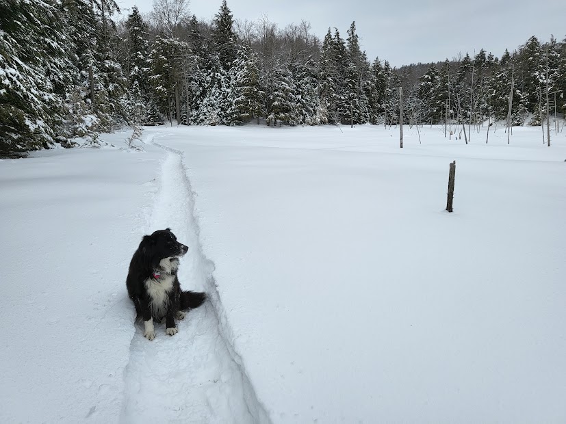 4-Season "Romantic" Cliffside Cabin