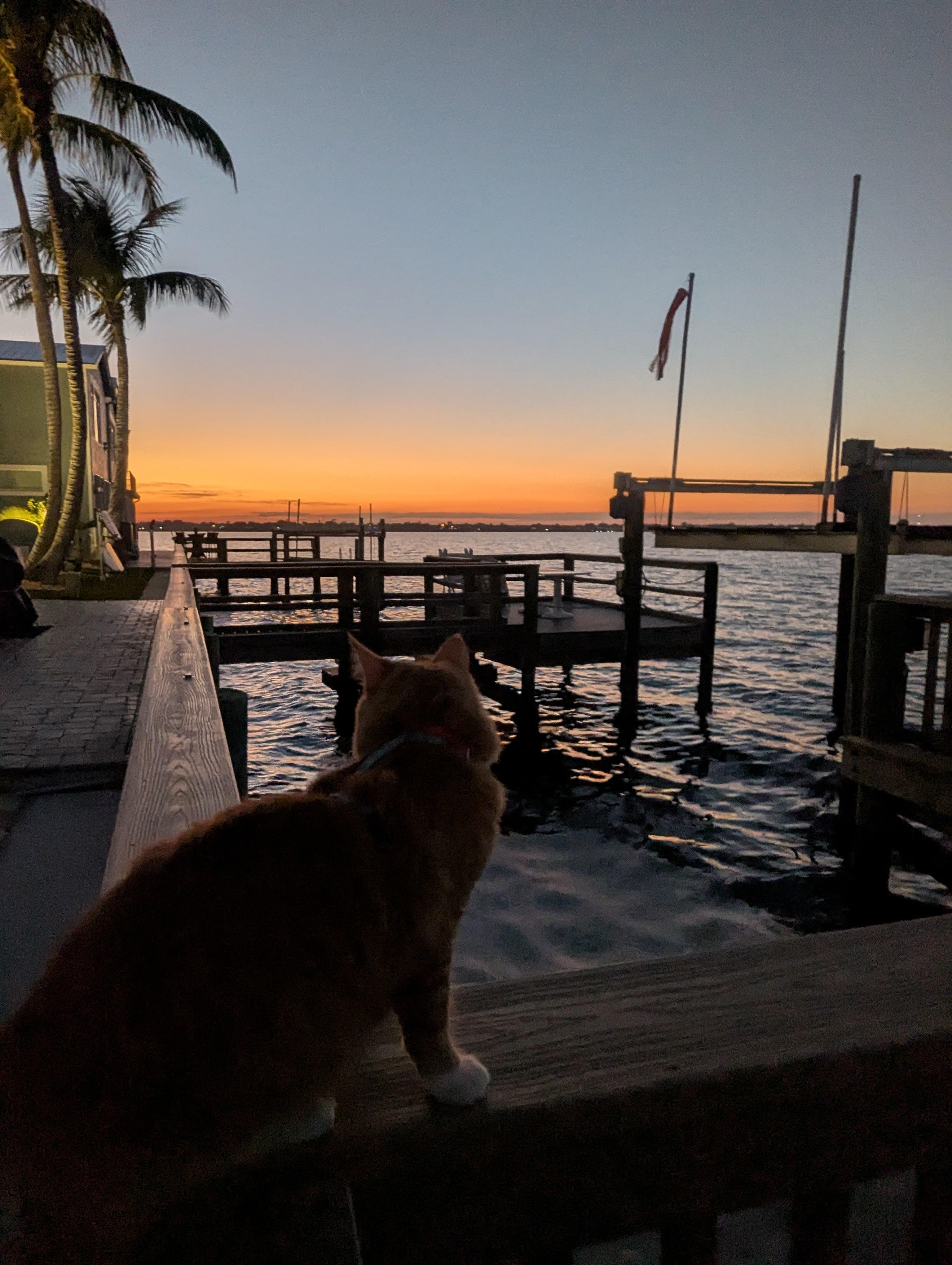 Nettles Island Coastal Resort