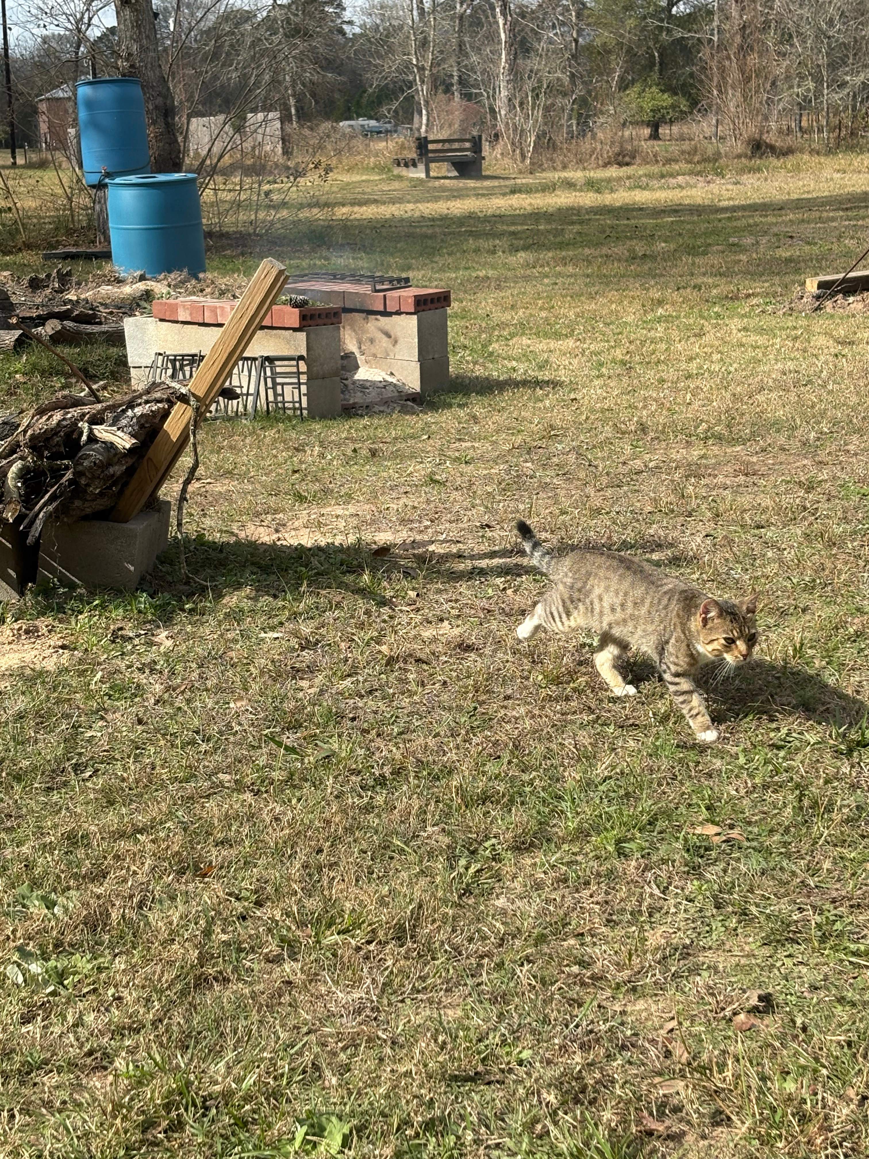 6 Acres for the Mind, Body, & Soul