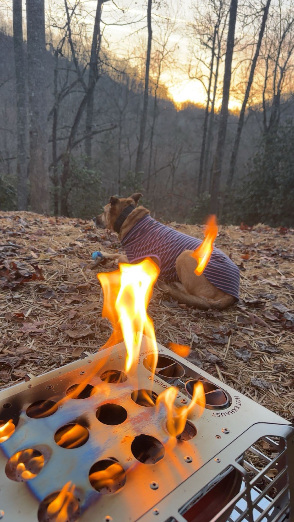 Black Mountain Hideaway