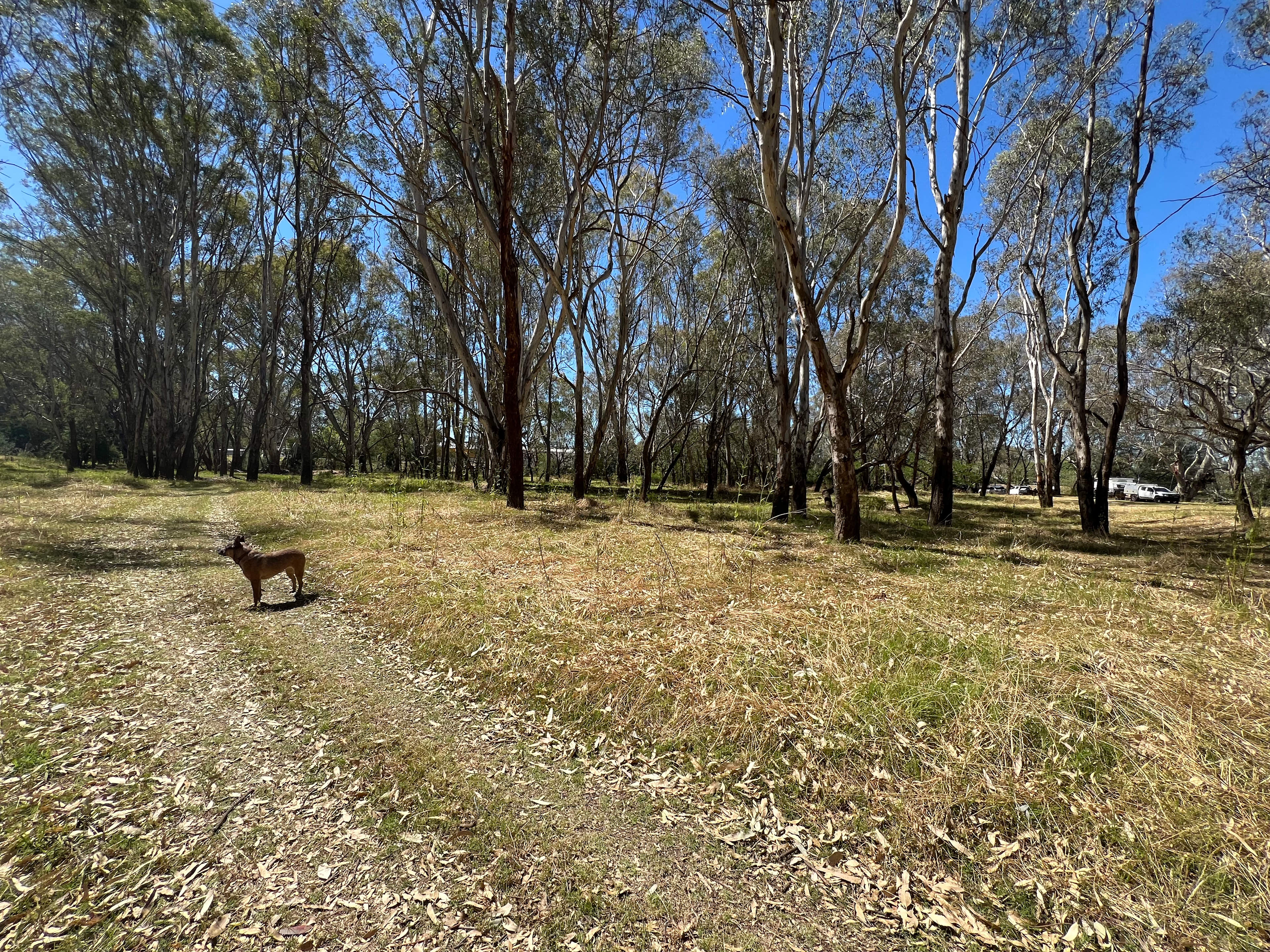 OvensKing River Retreat