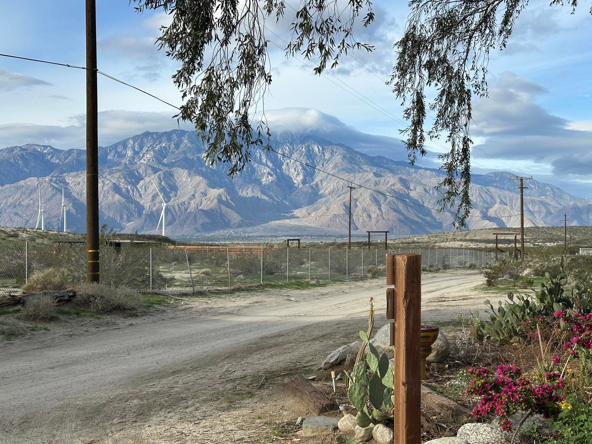 DragonflyHill Desert Farm