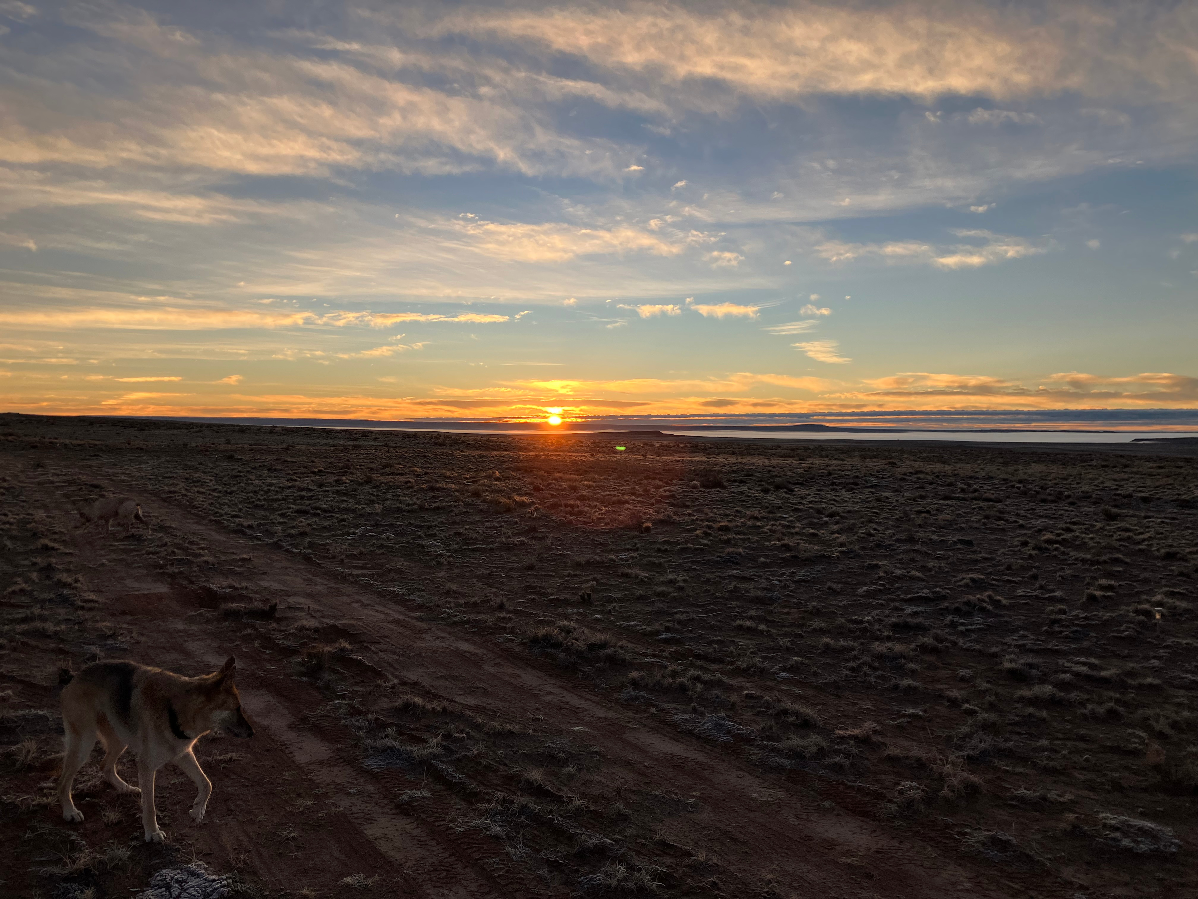 Petrified Forest Hideaway