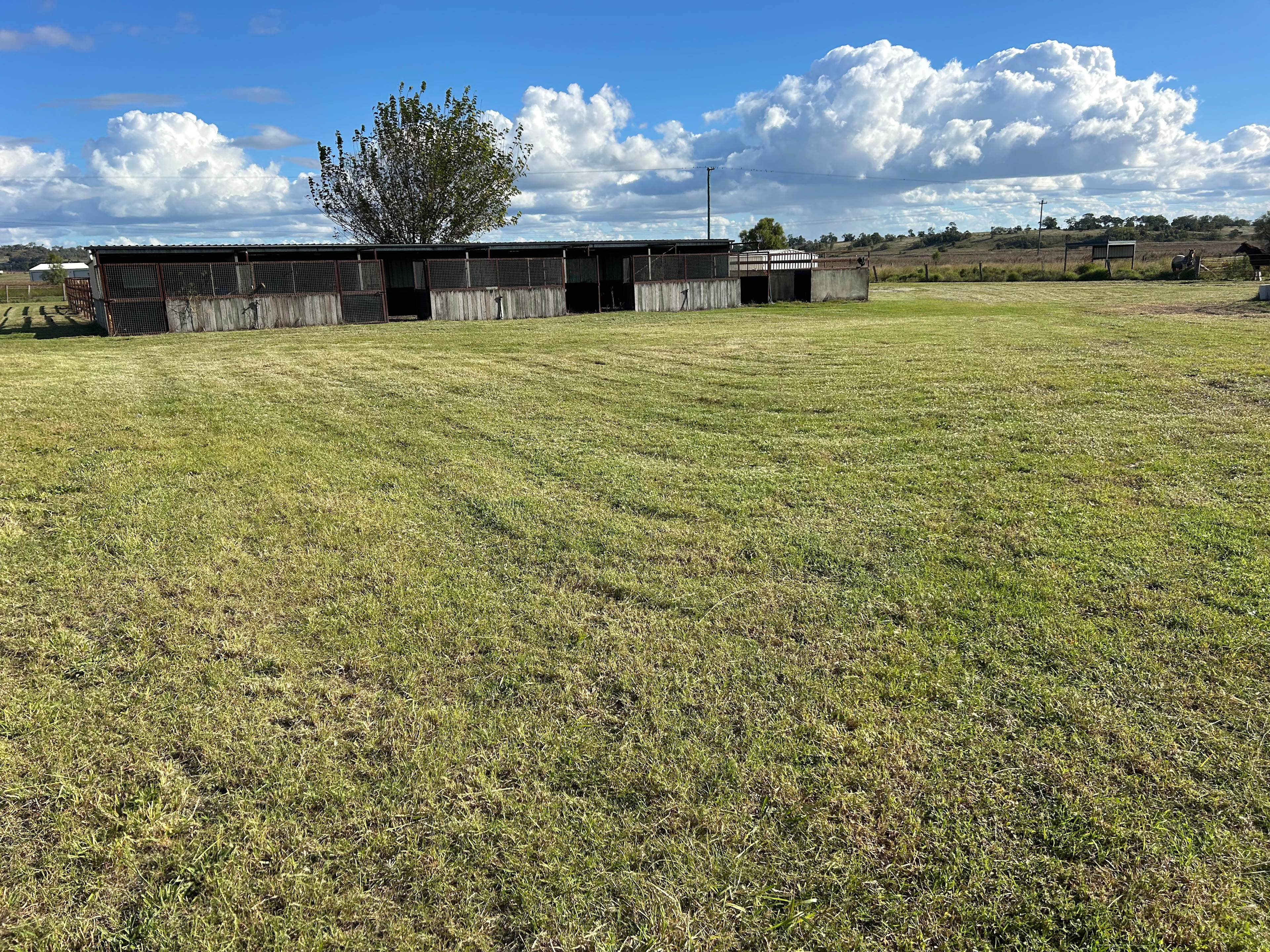 Kingsthorpe Horse Paddock