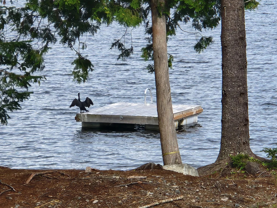 Lakeside Cabin Near St. Andrews