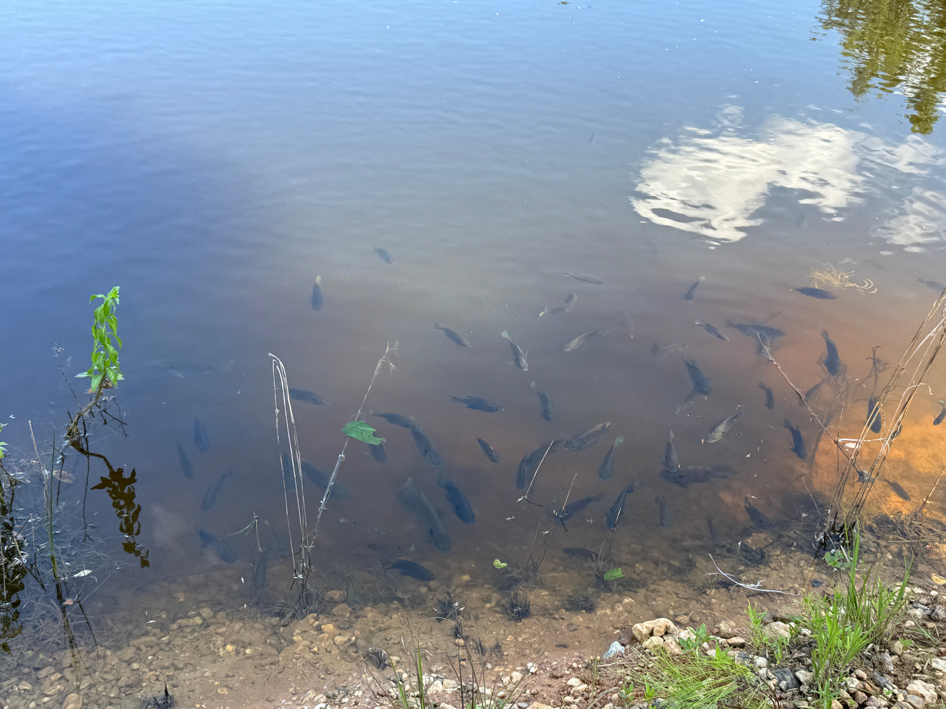 Green Acres Pondview RV Retreat