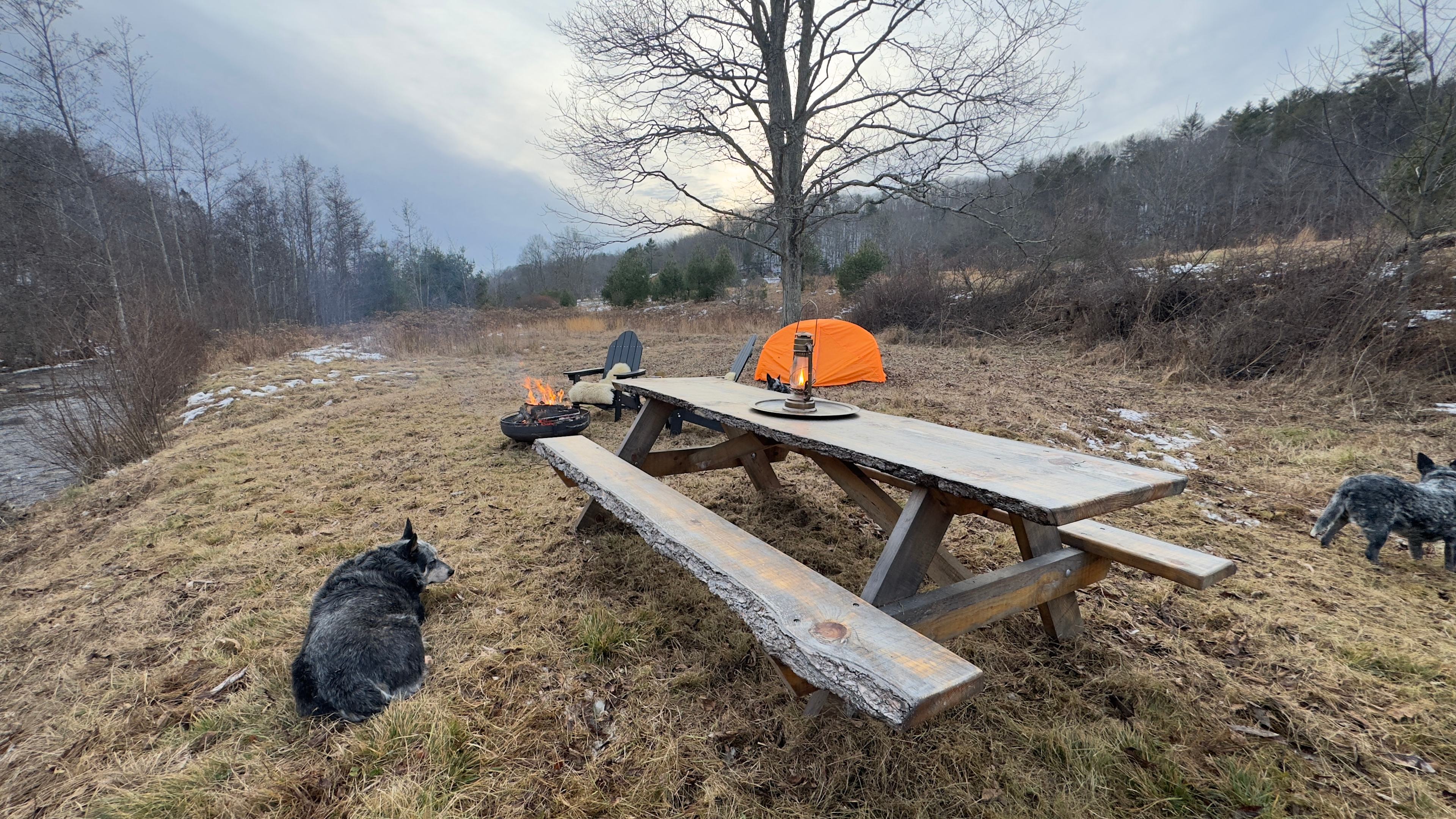 Homestead Overland Virginia