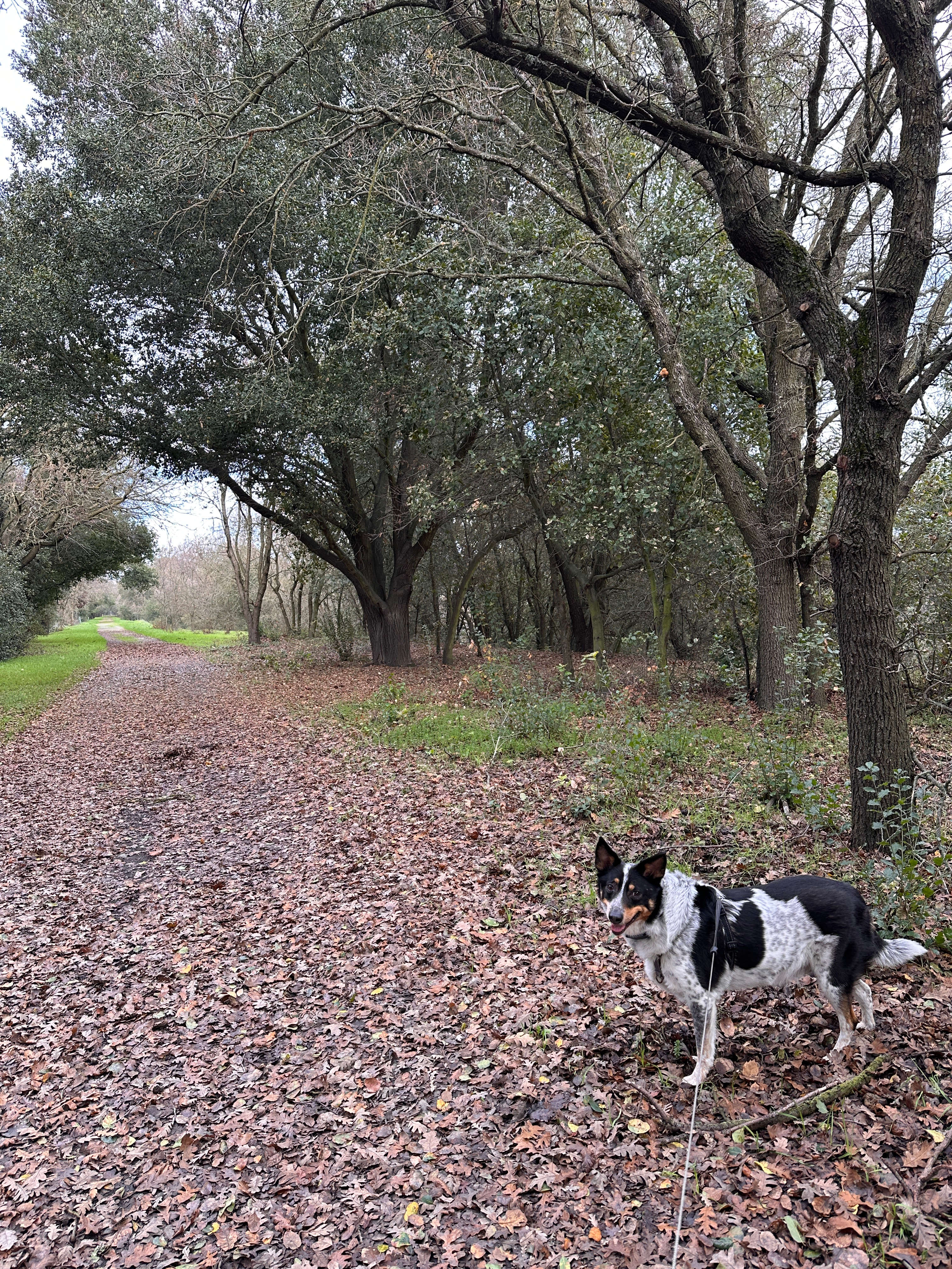 Park next to property with nice long walks!