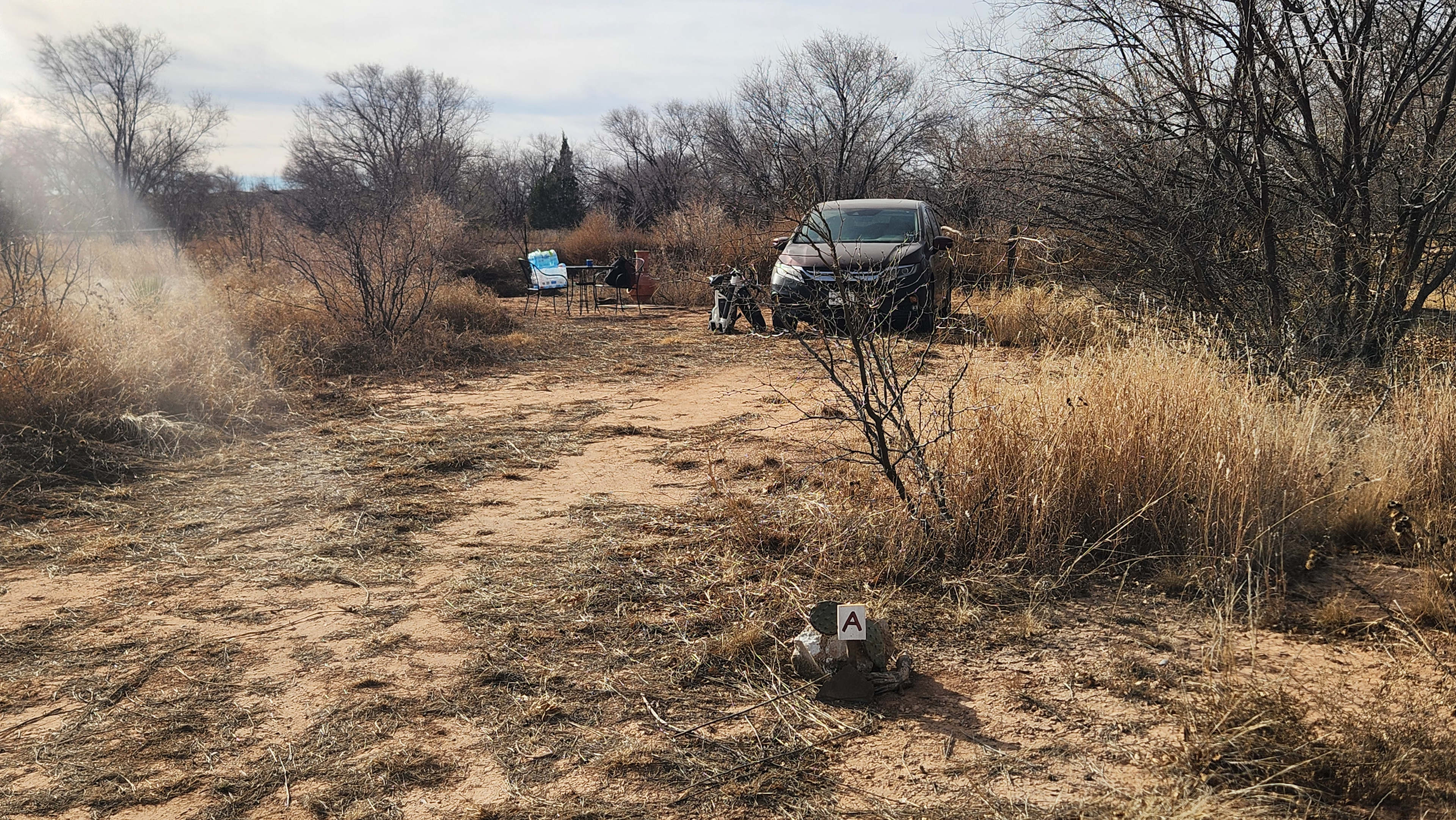 Boom Booms Campground @Tex & Edna's