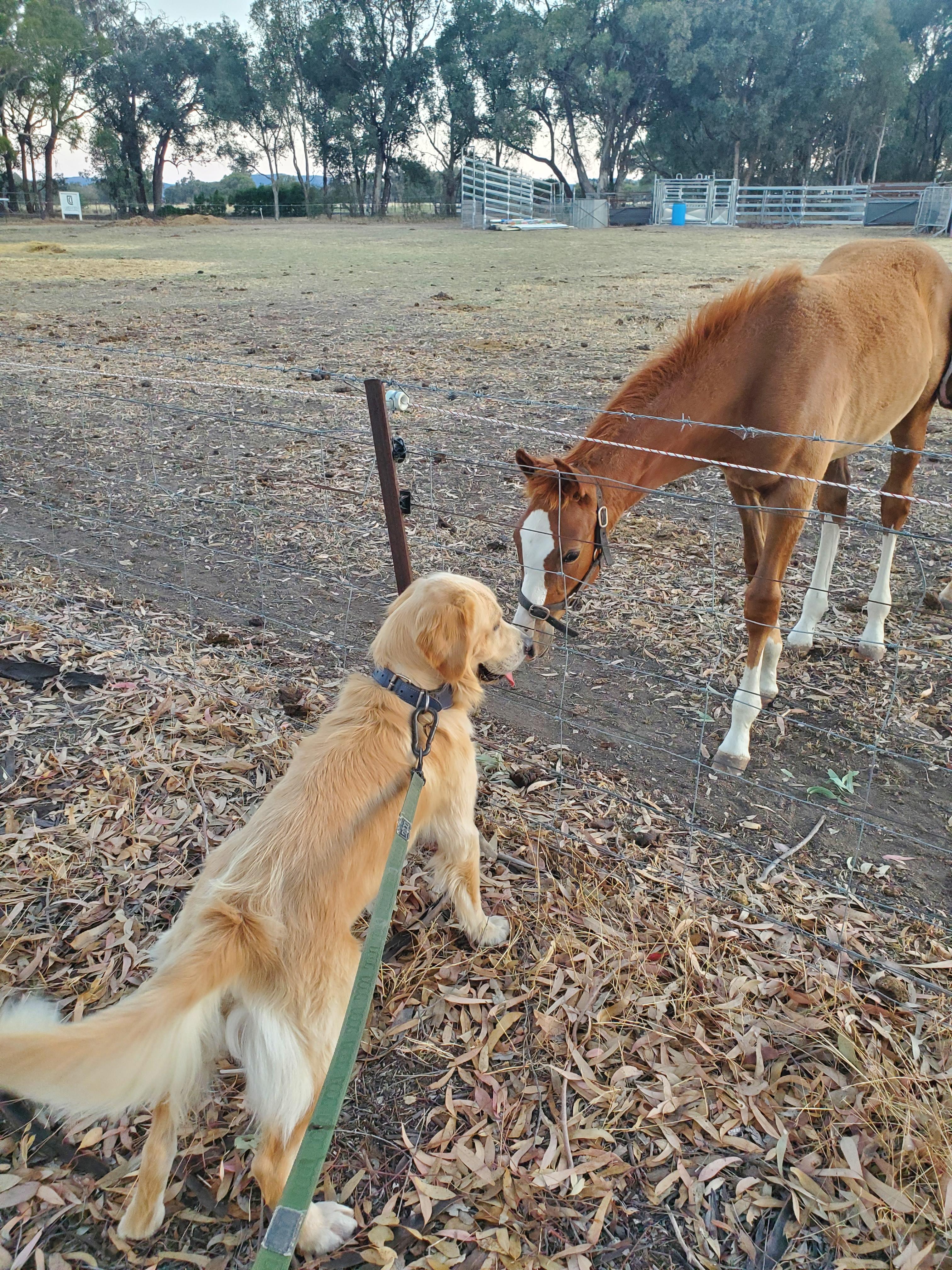 Retreat to Granite Springs Farmstay
