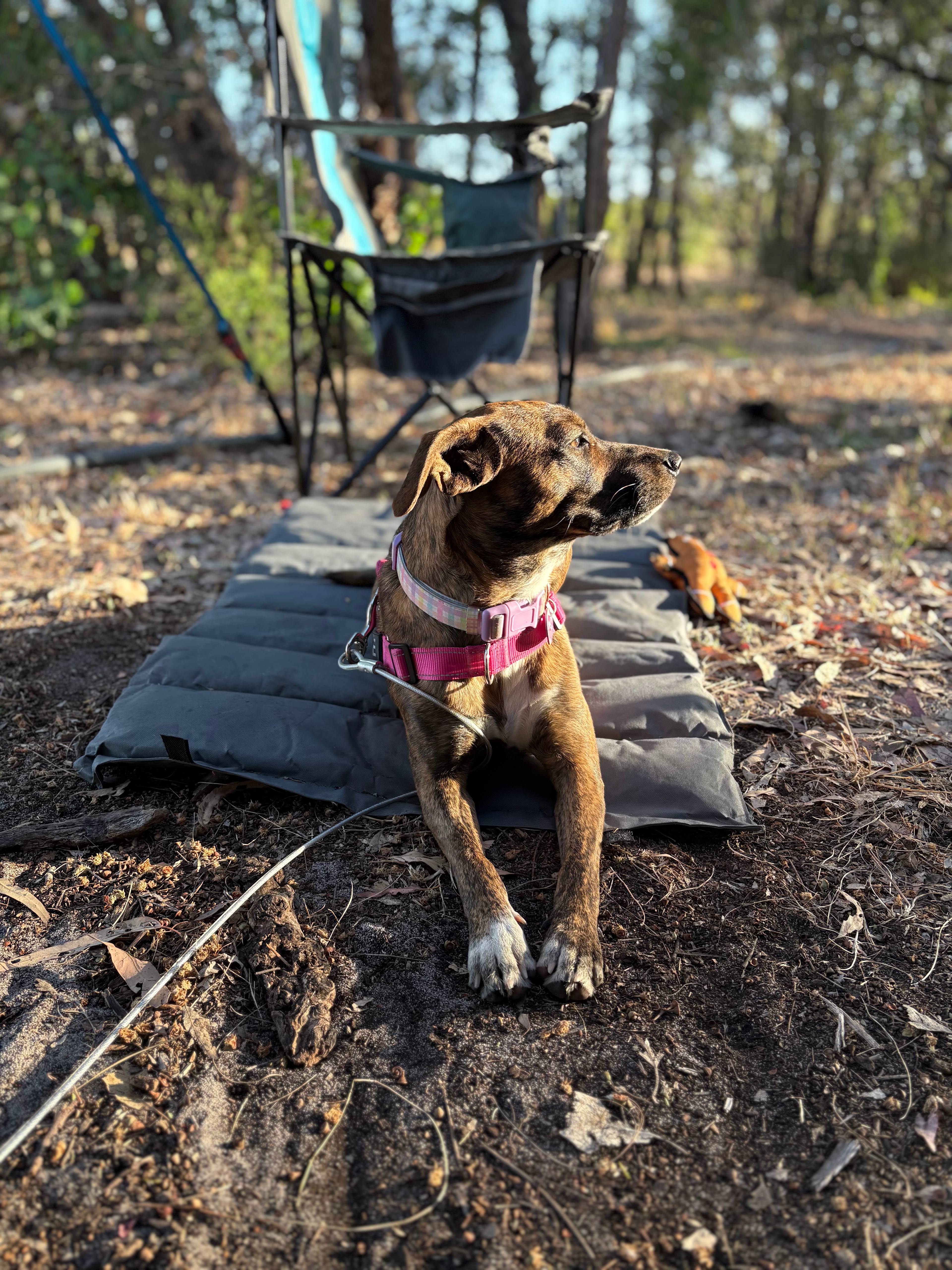 Herron Point Farm Stay