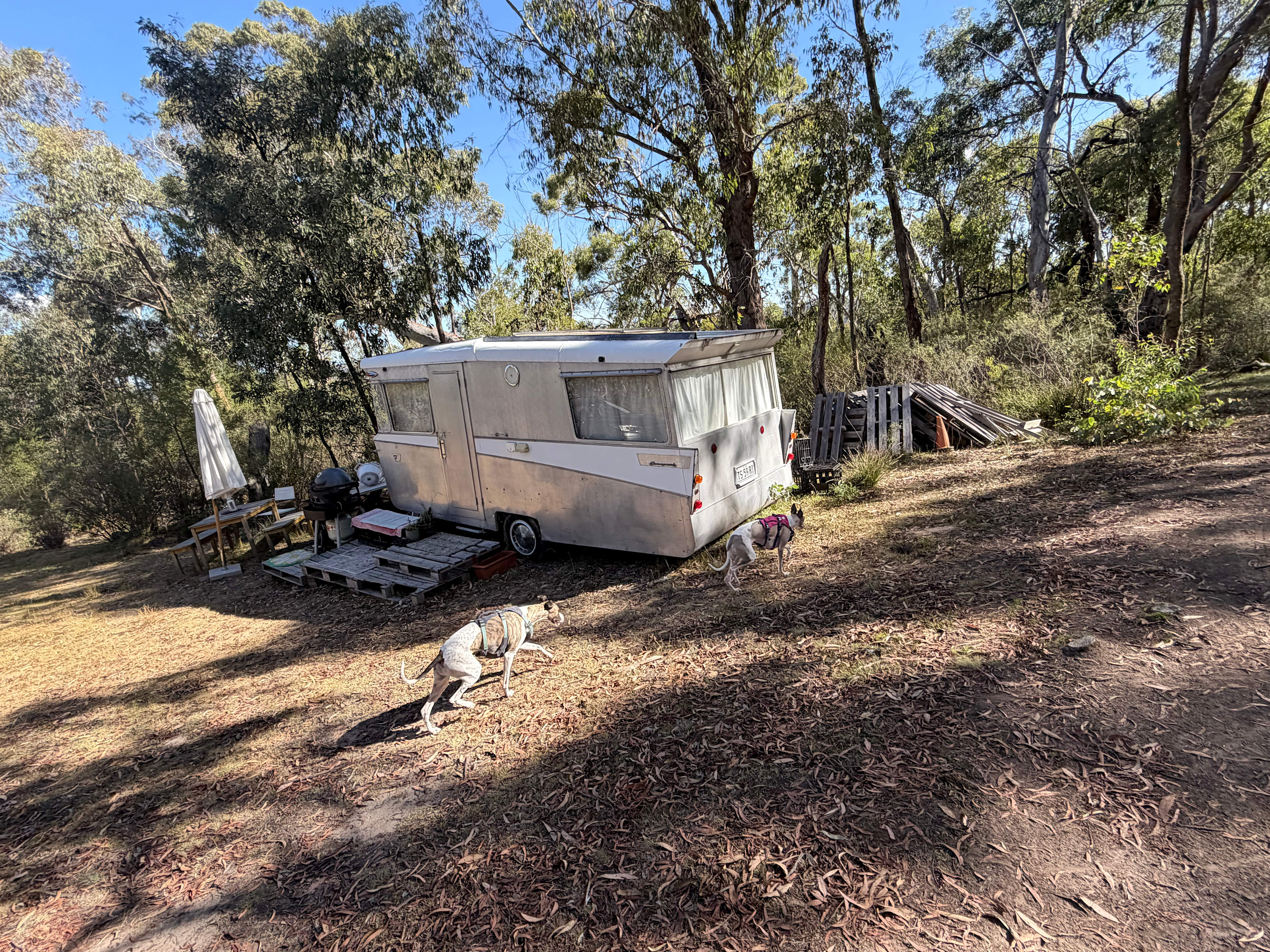 Monastery of 11 Strings