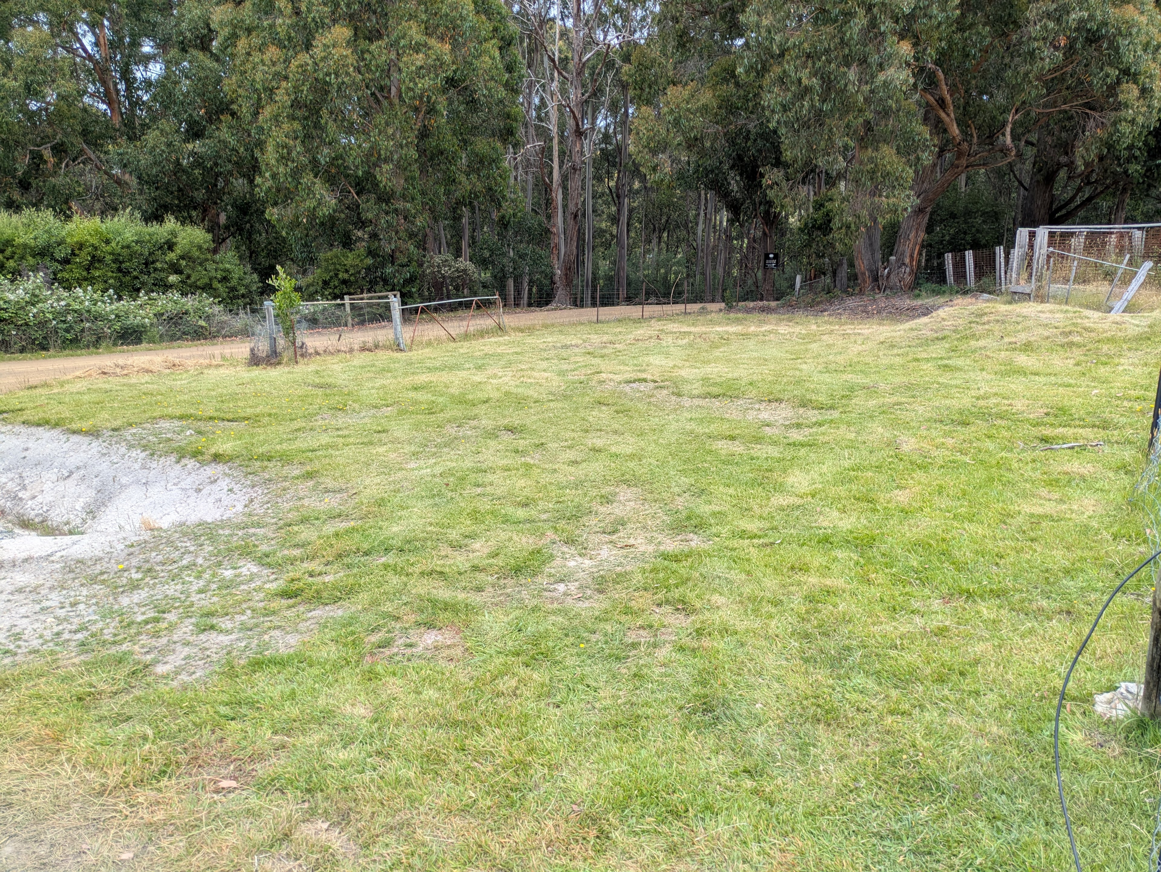 Peaceful Birchs Bay Campervan Stop