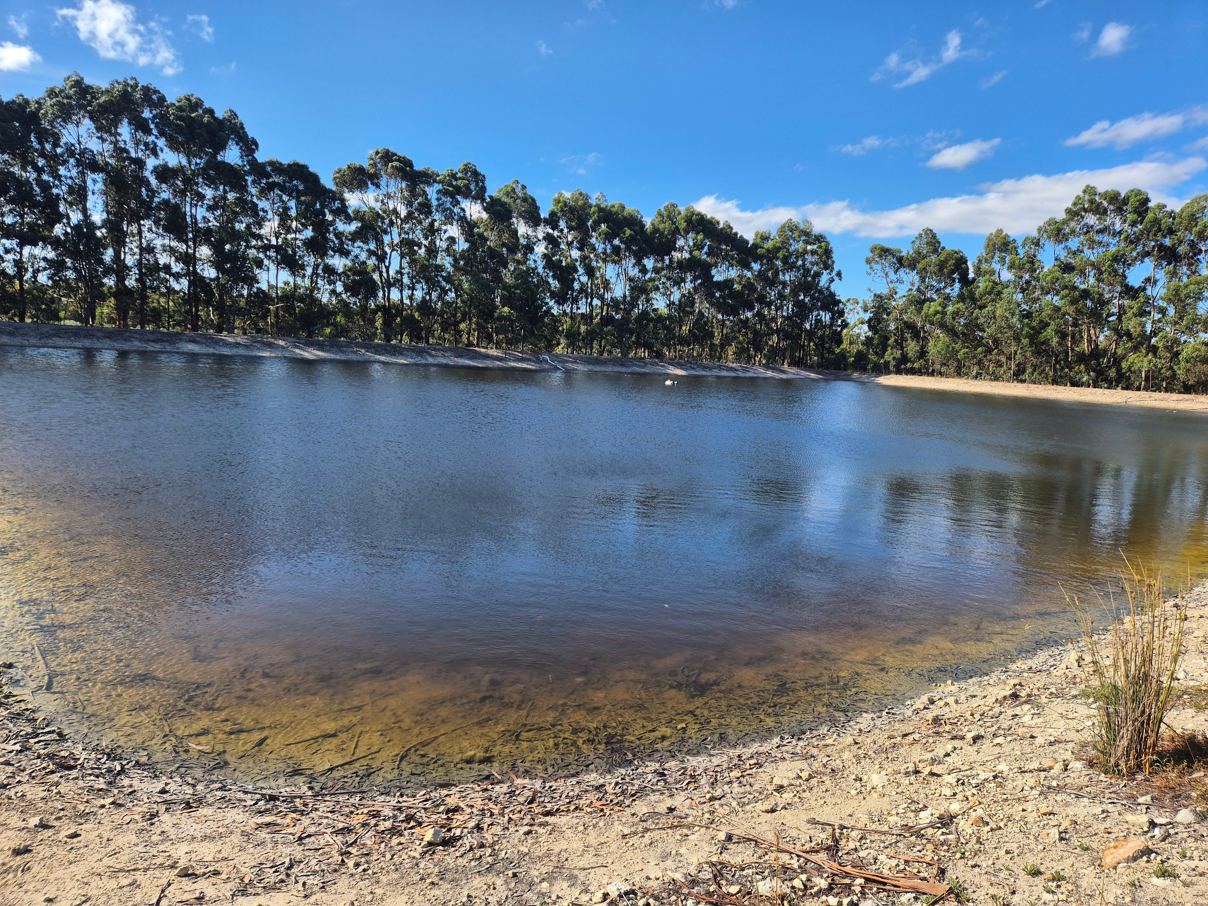 Springwood Olive Farm