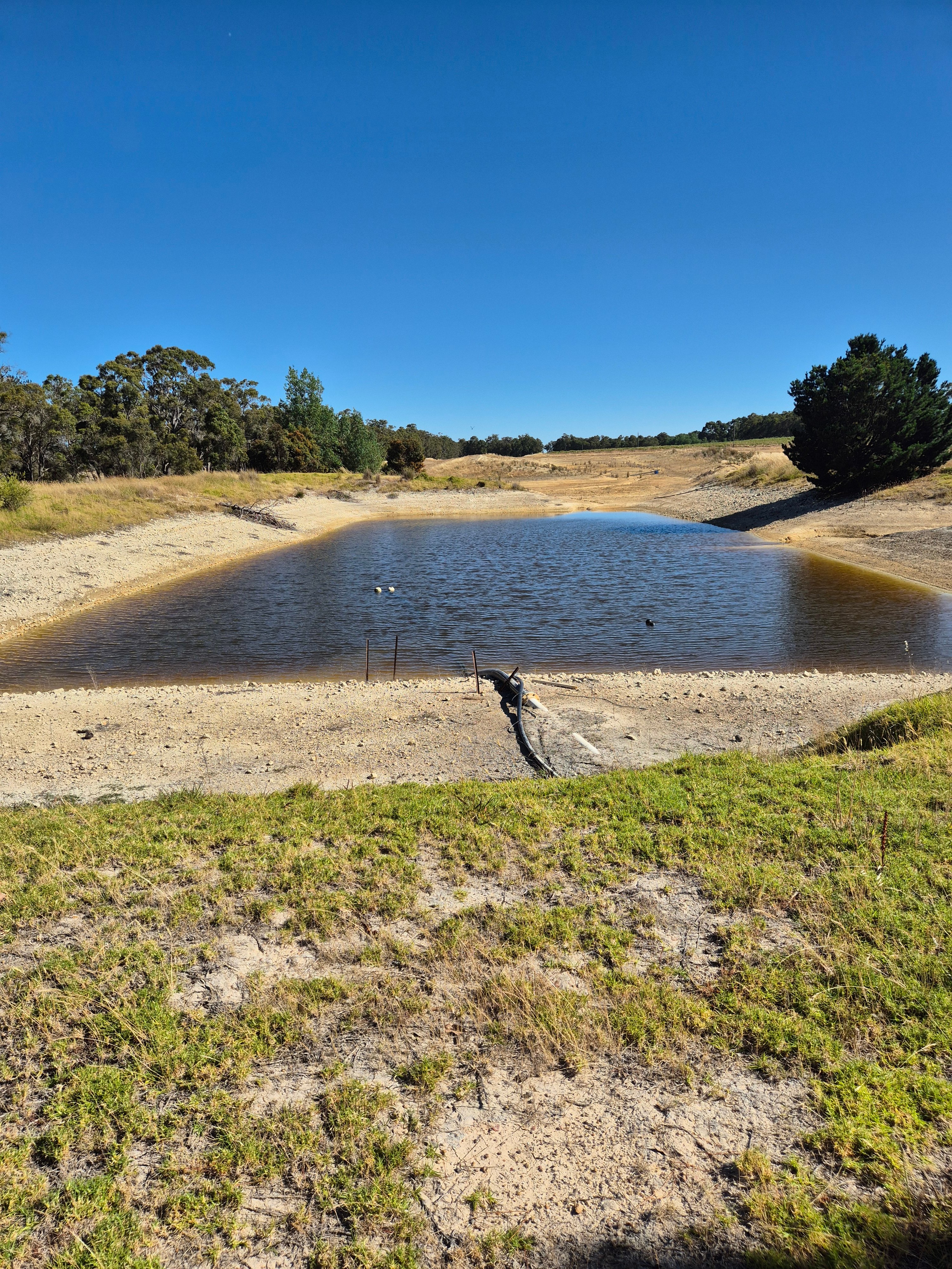 Springwood Olive Farm