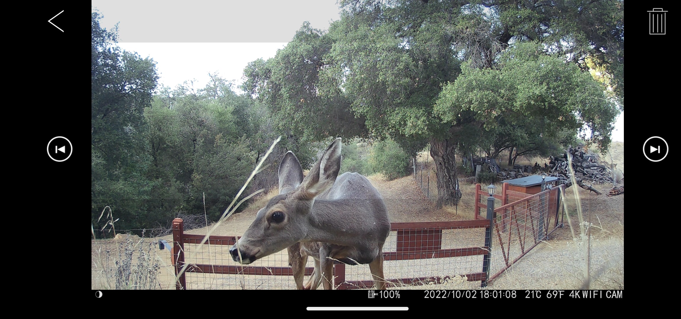 Lake Henshaw hideaway