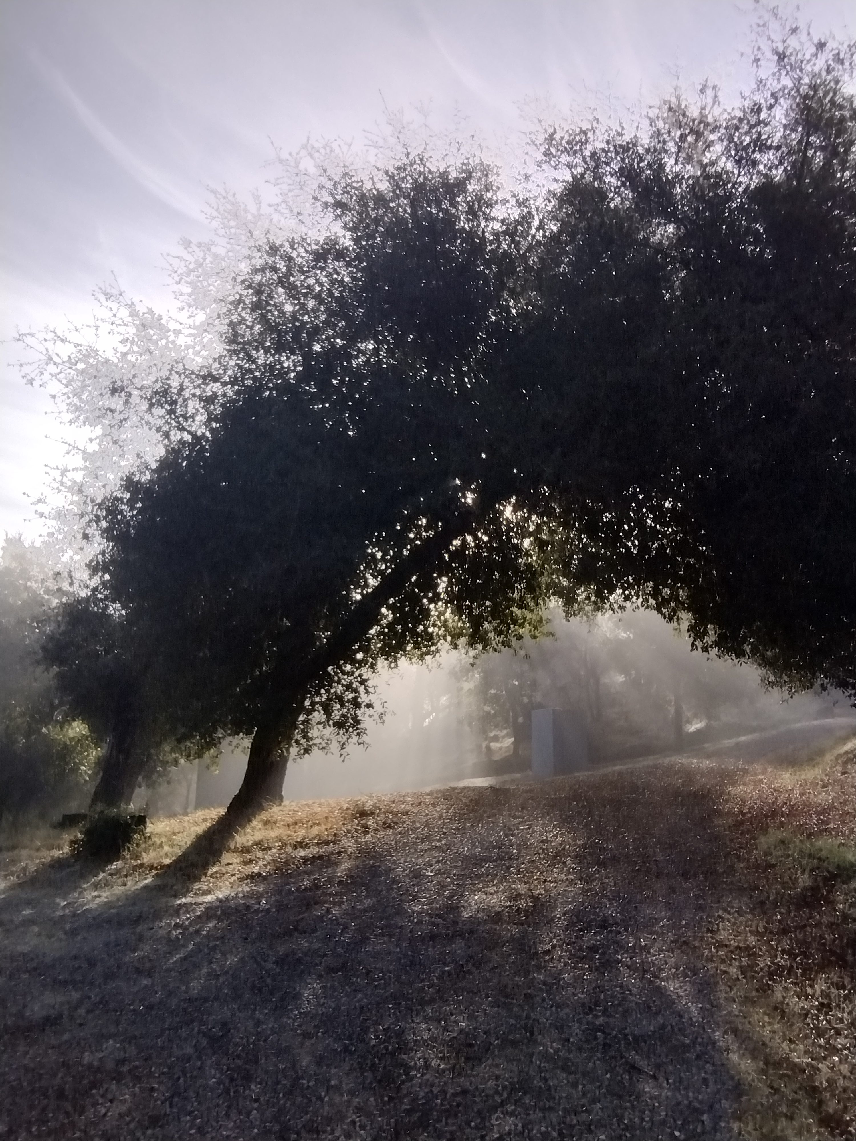 Lake Henshaw hideaway