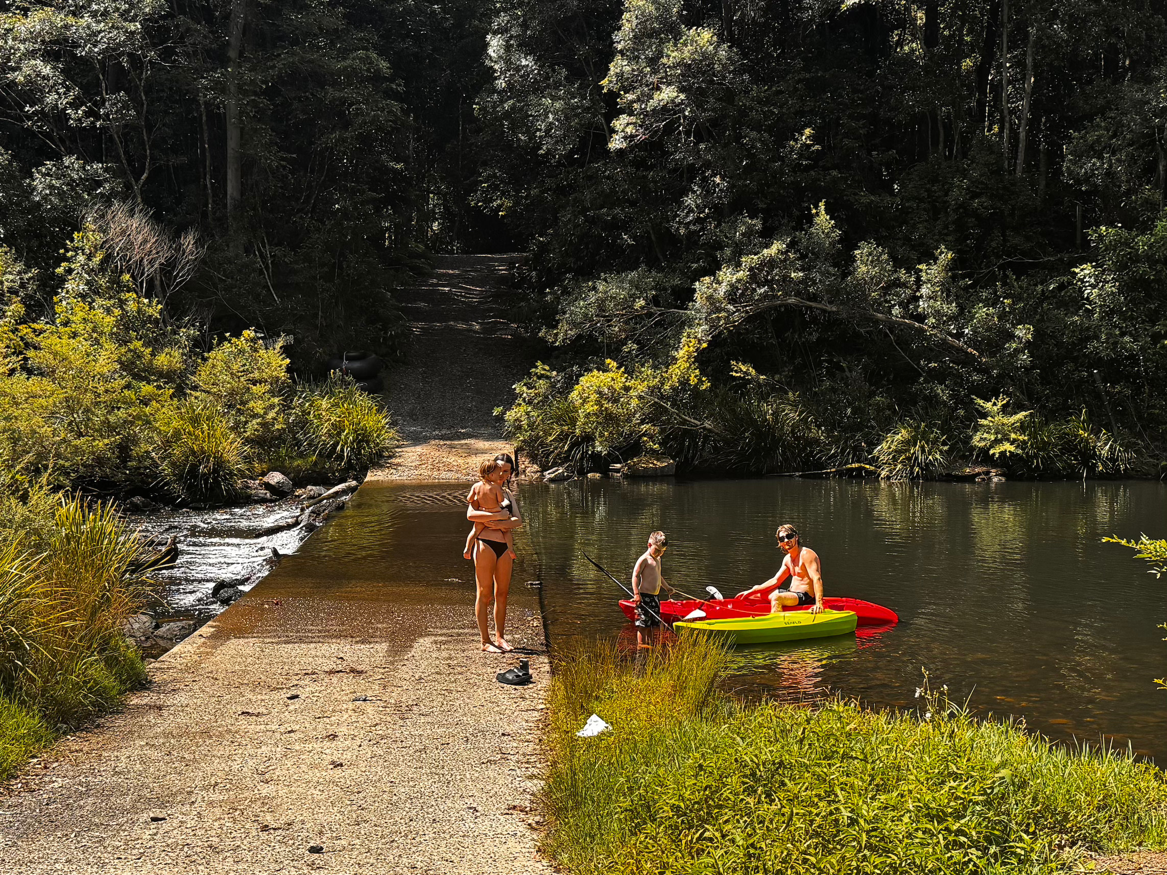 Frog Hollow Rainforest Camping