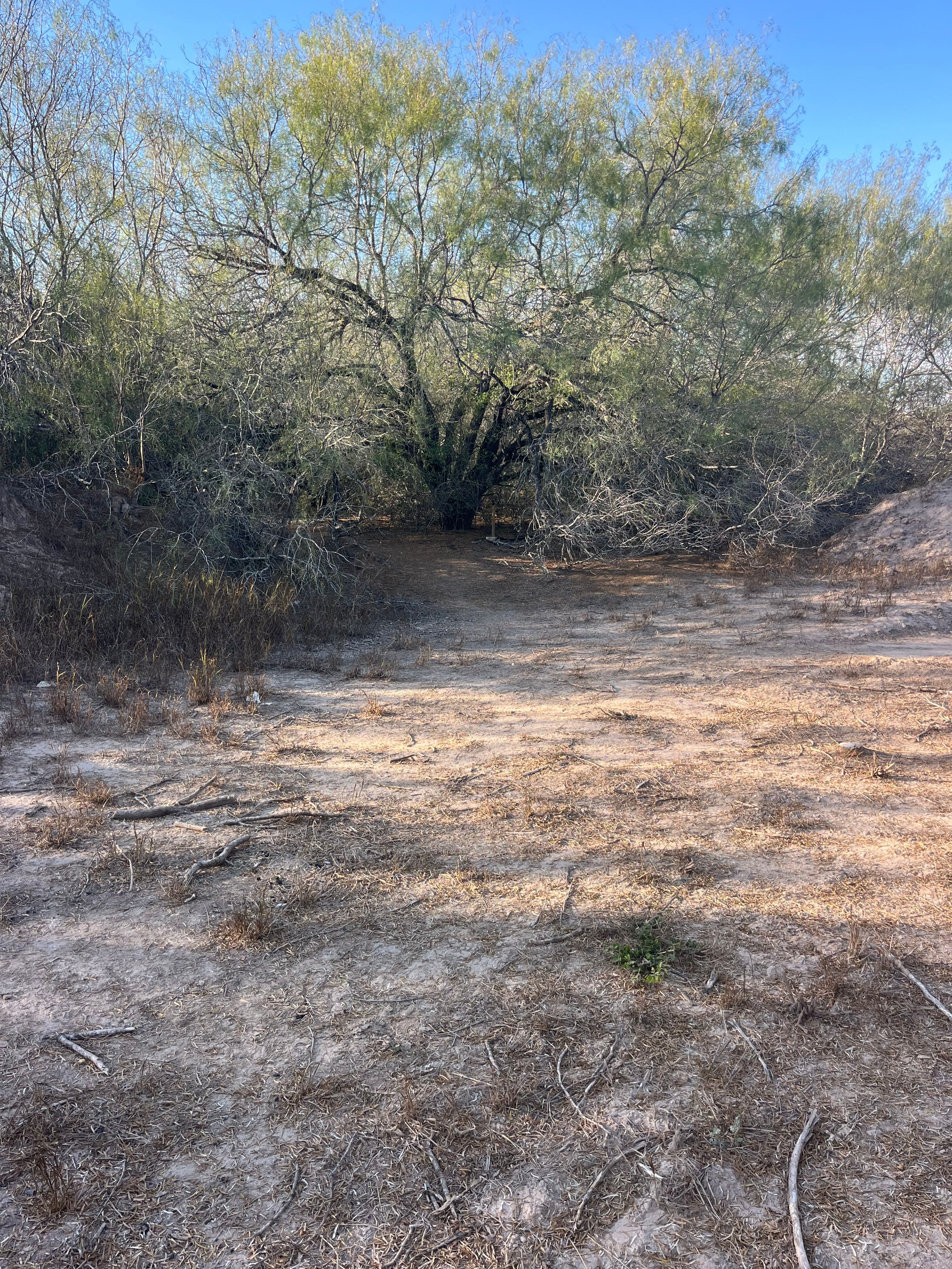 Estrella Cabin Ranch