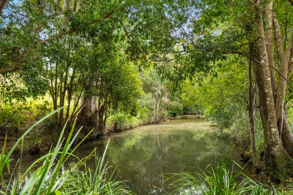 Tudd's Shady Creek Camp