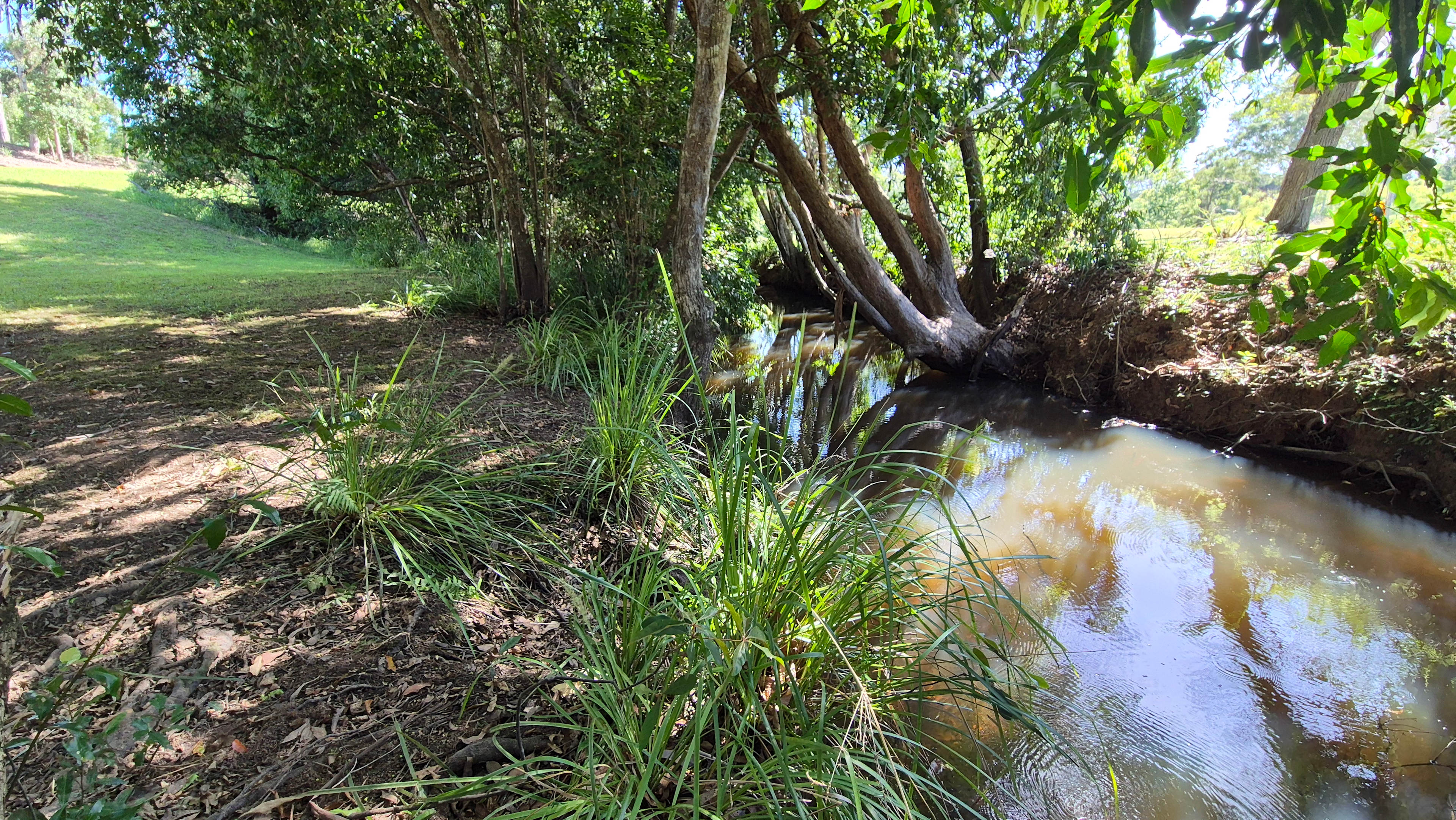 Tudd's Shady Creek Camp