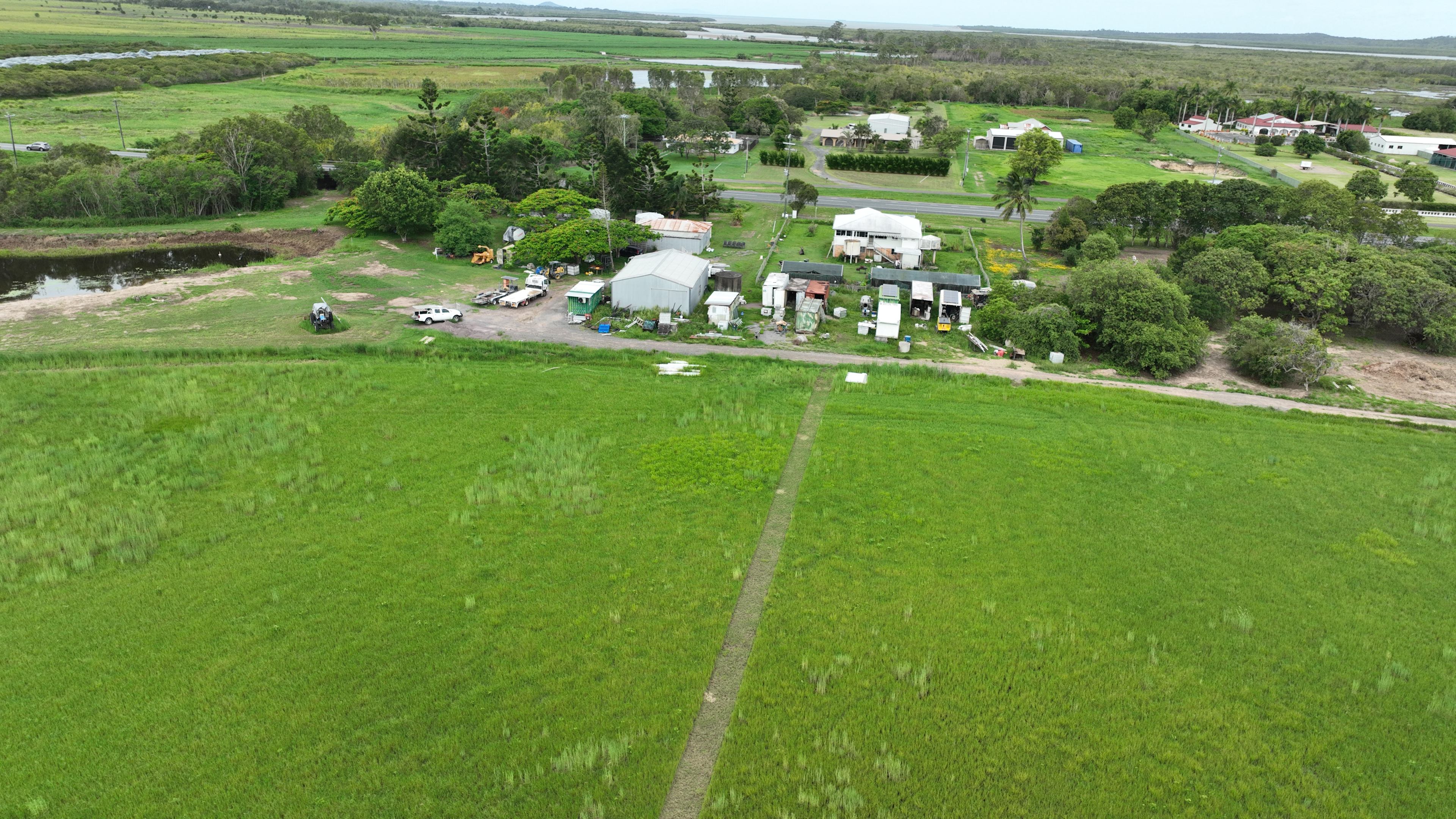 Might Fungi Mushroom Farm