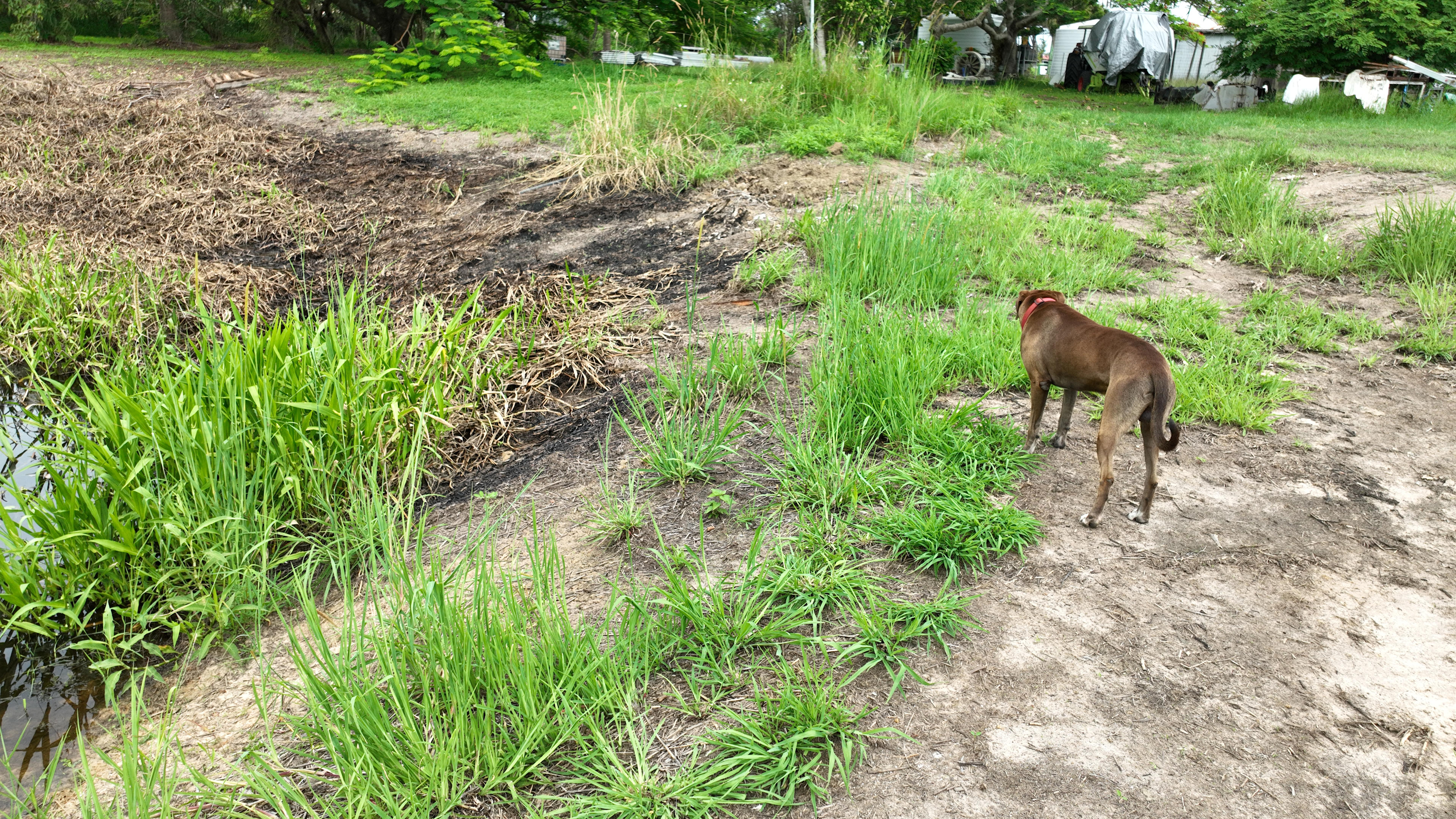 Might Fungi Mushroom Farm