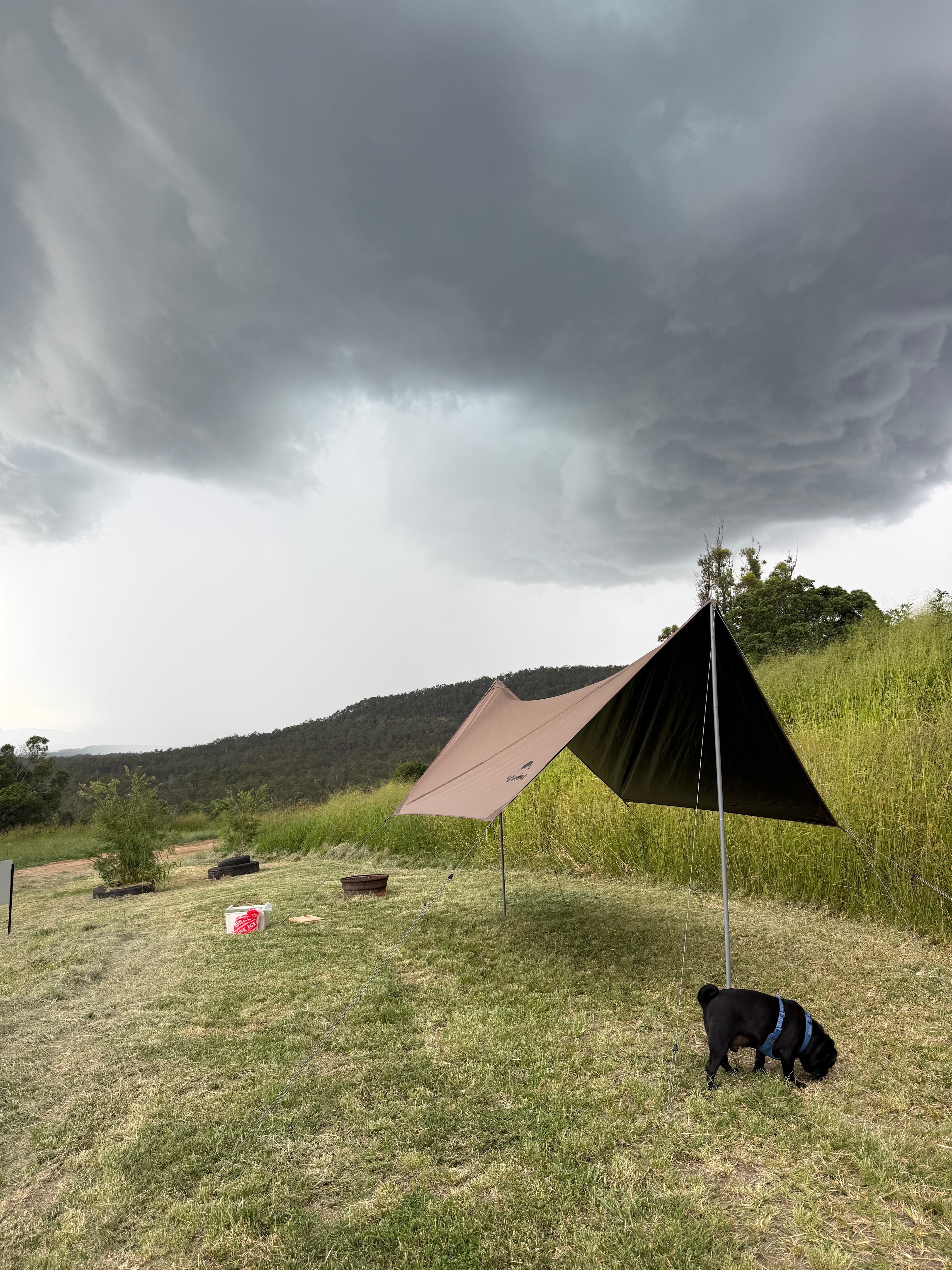 Adventure Park Scenic Rim