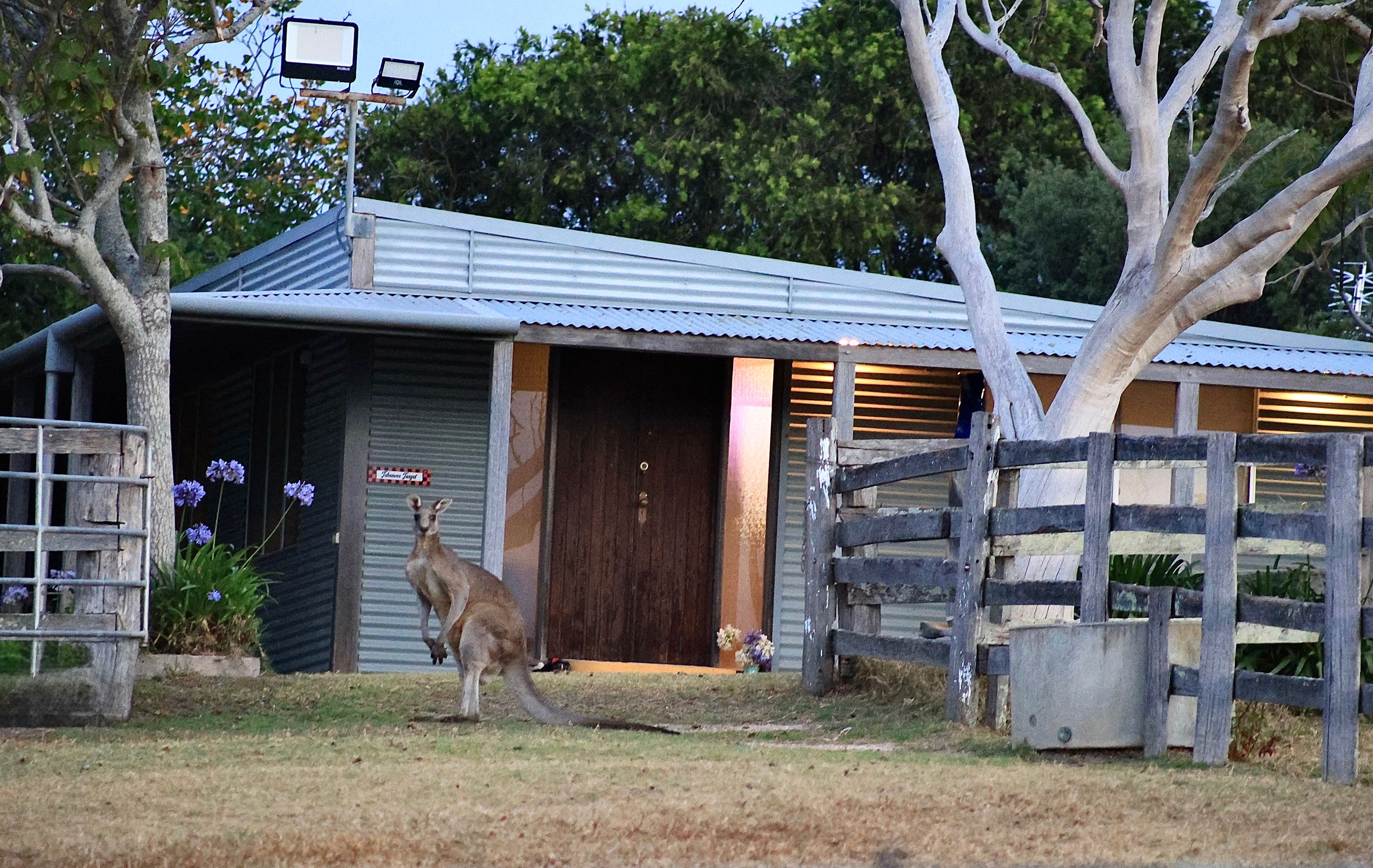 Bridle and Breeze Retreat