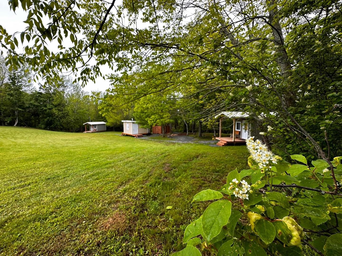 Field and Fern Cottages