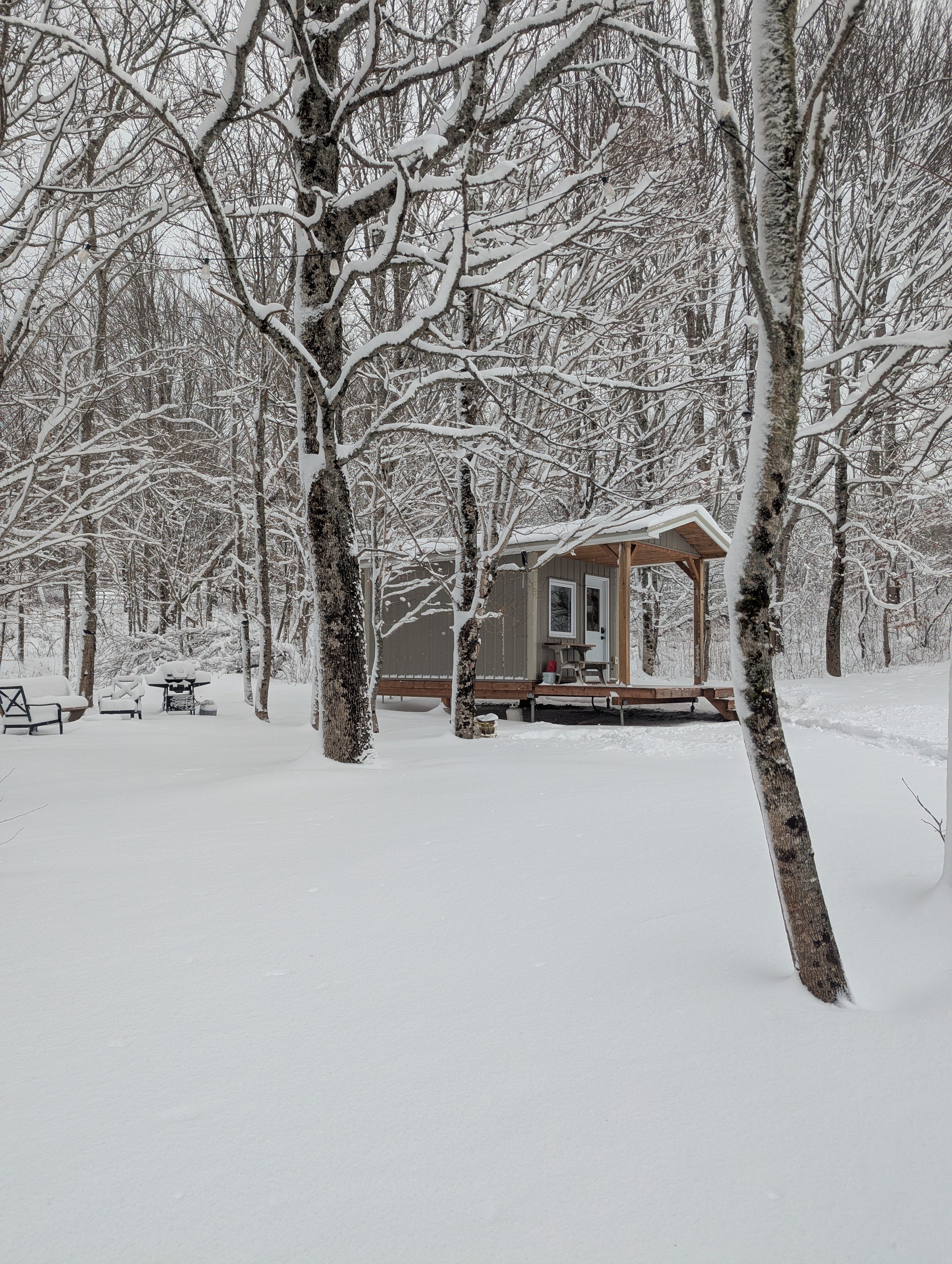Field and Fern Cottages