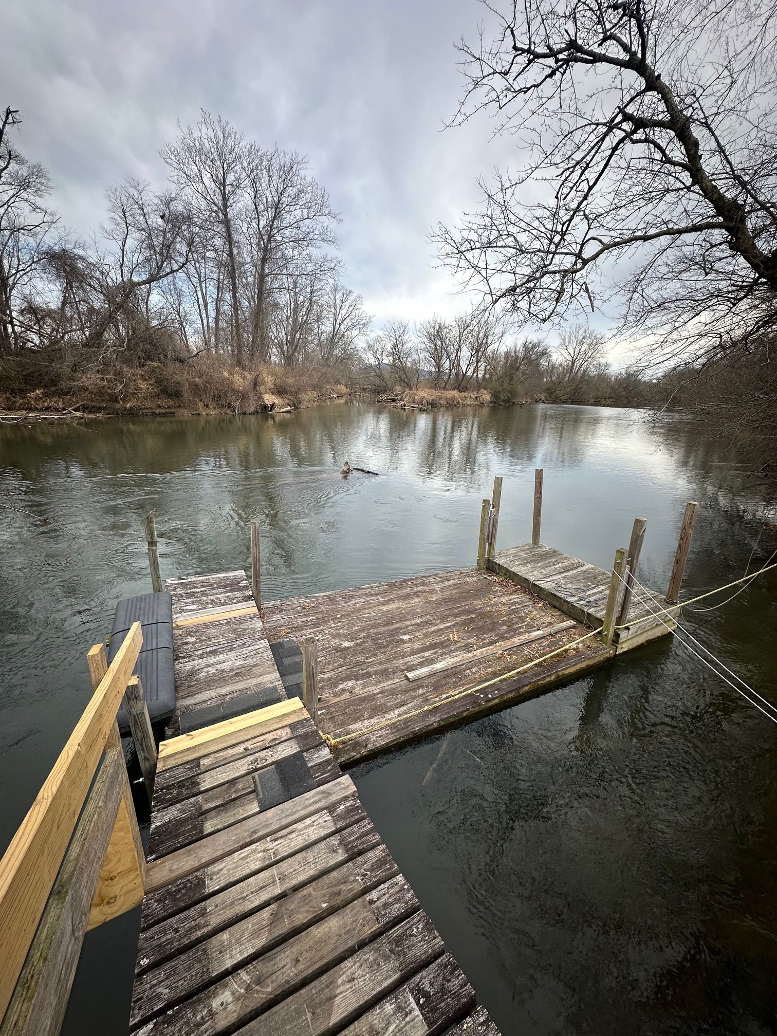 Access to French Broad via floating dock. 