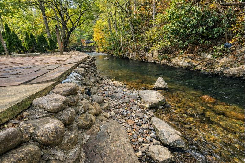 Cozy Creekside Camping